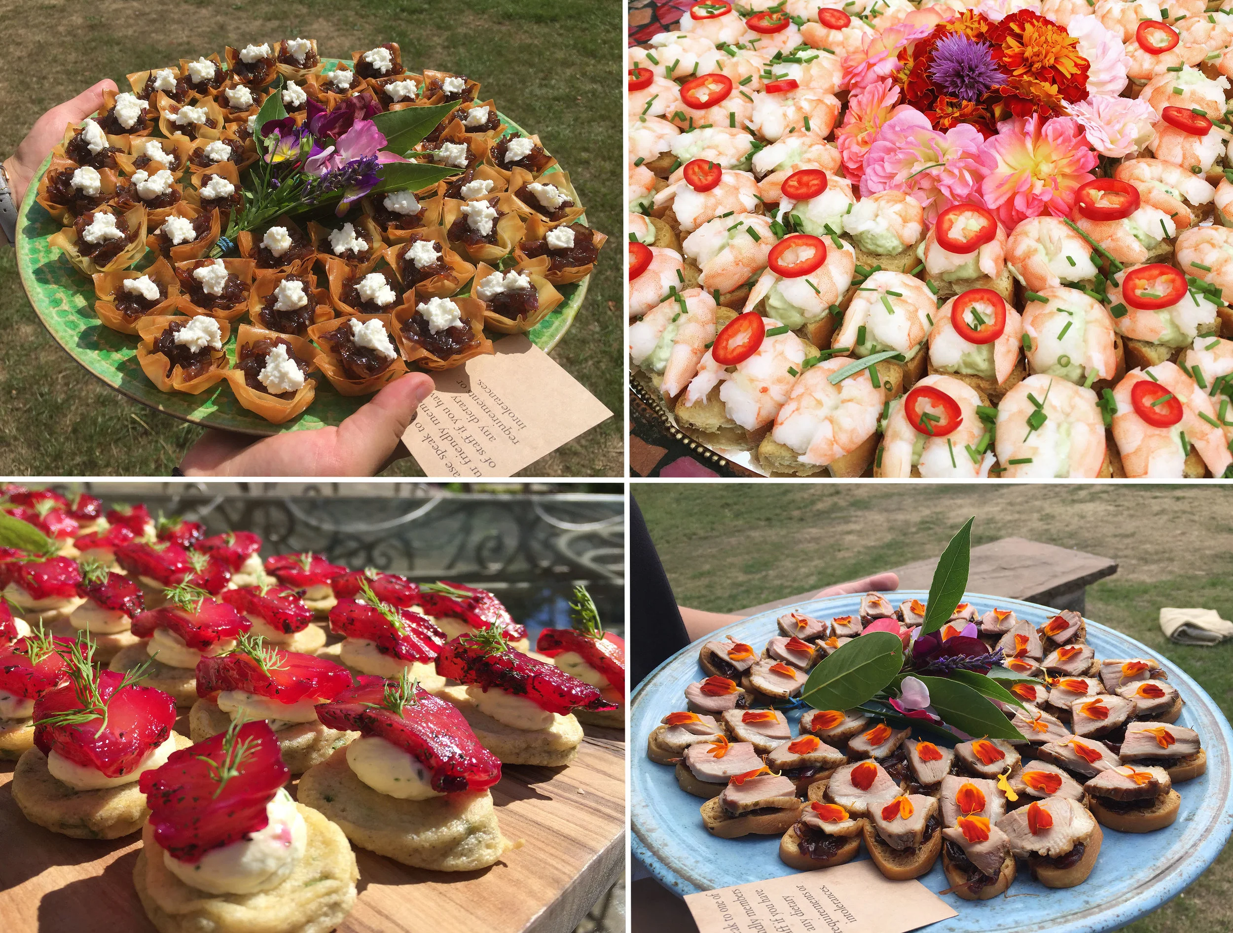 Sheri_Marcus_Canapes.jpg