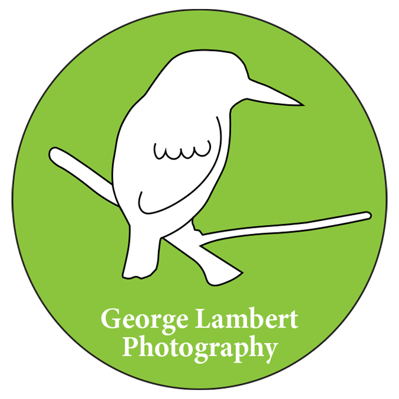 George Lambert Photography