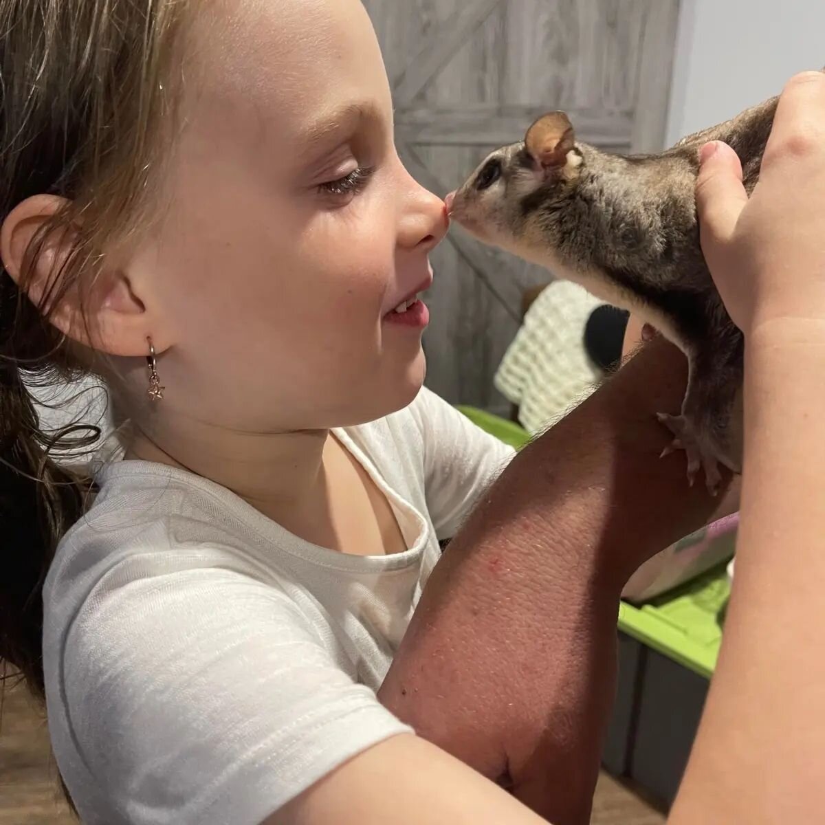 @allforkidsmarket is pleased to announce that @snakesafevictoria are attending the Broadmeadows market on 28th May. they will be bringing a Dingo, Crocodile, Possum and Snake for all the kids that are brave enough to pat and to talk to them about ani