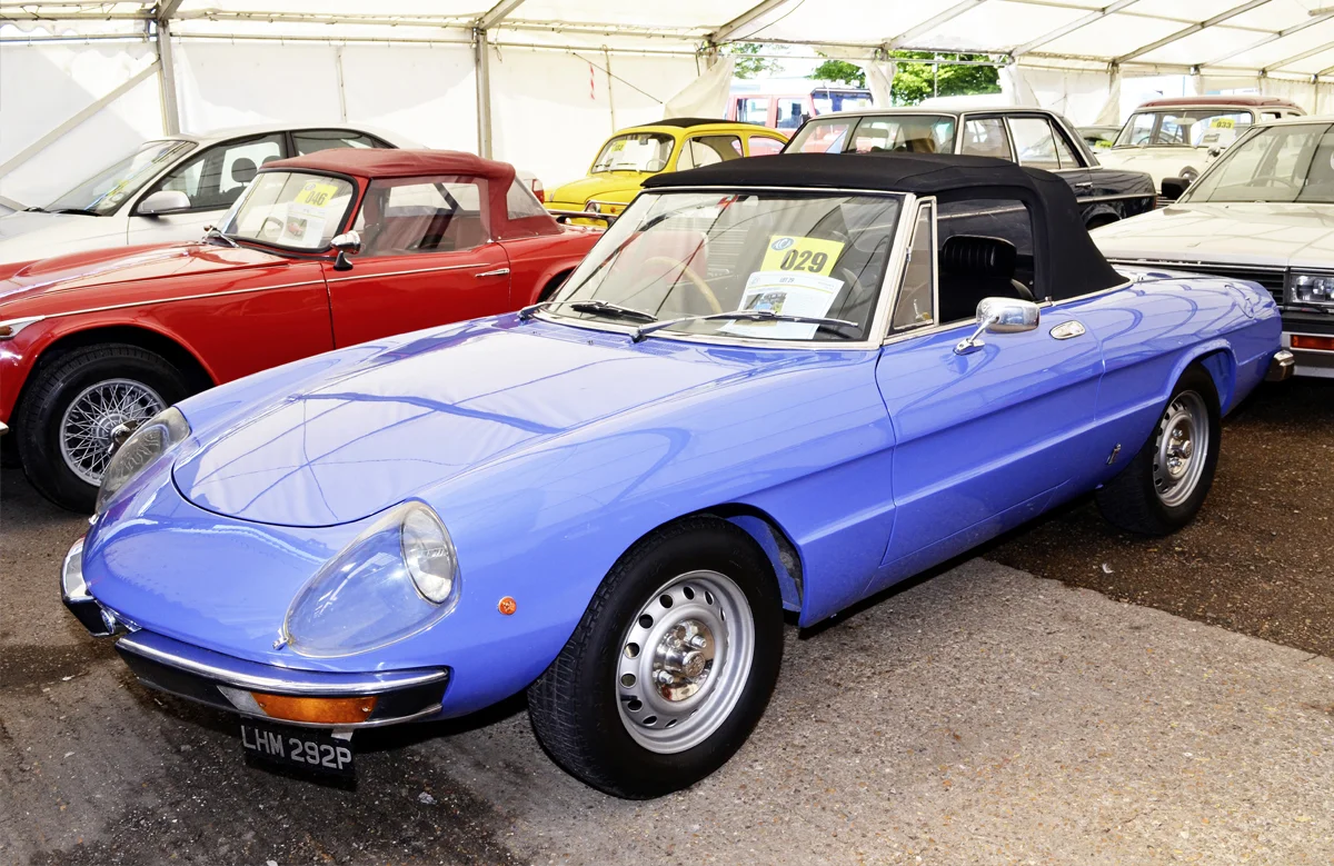 web alfa1.jpg