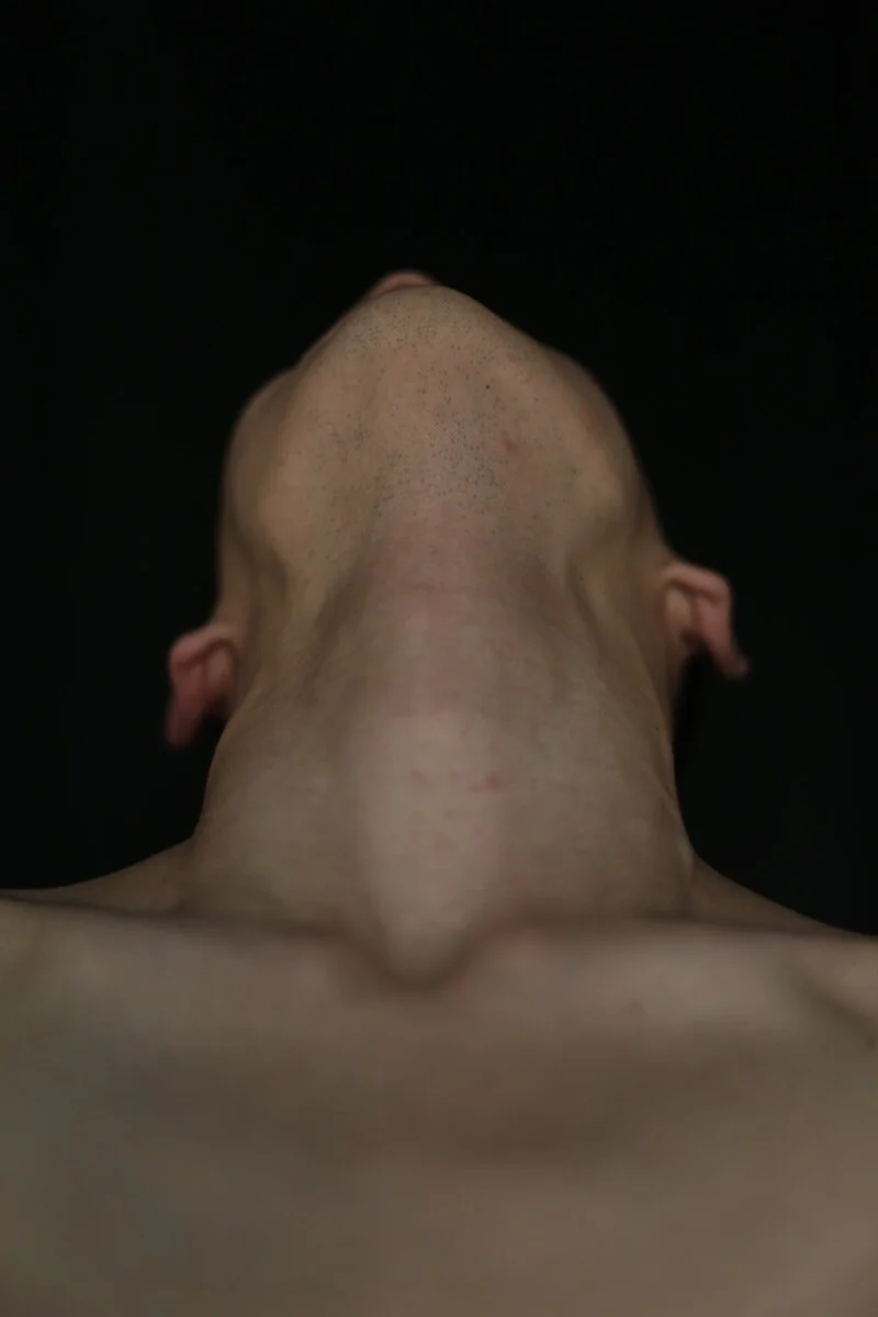 Sculptured Masculinity 