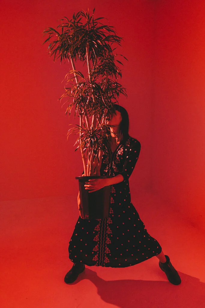 樹手故事(Treeman)