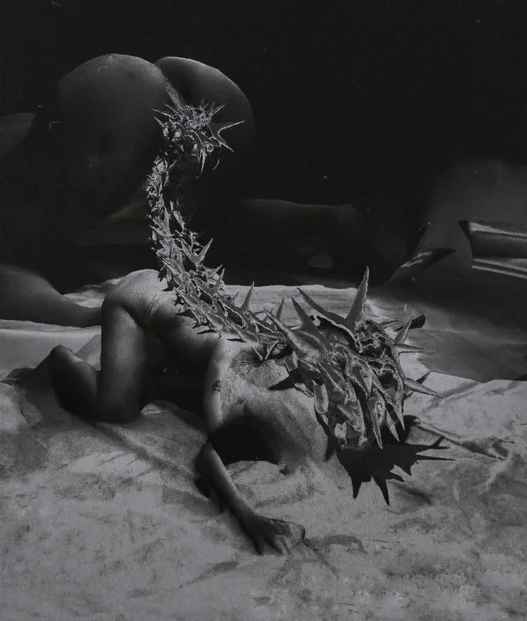 SEXUAL MICROBES: A CONTAMINATED LOVE STORY 