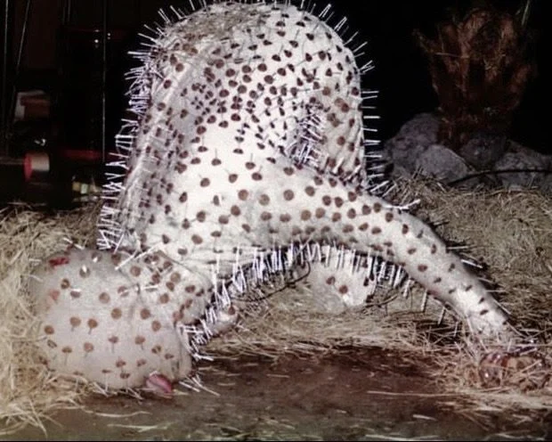 AN INTERVIEW WITH KARU MIYOSHI: BODY AS BORDERLINE