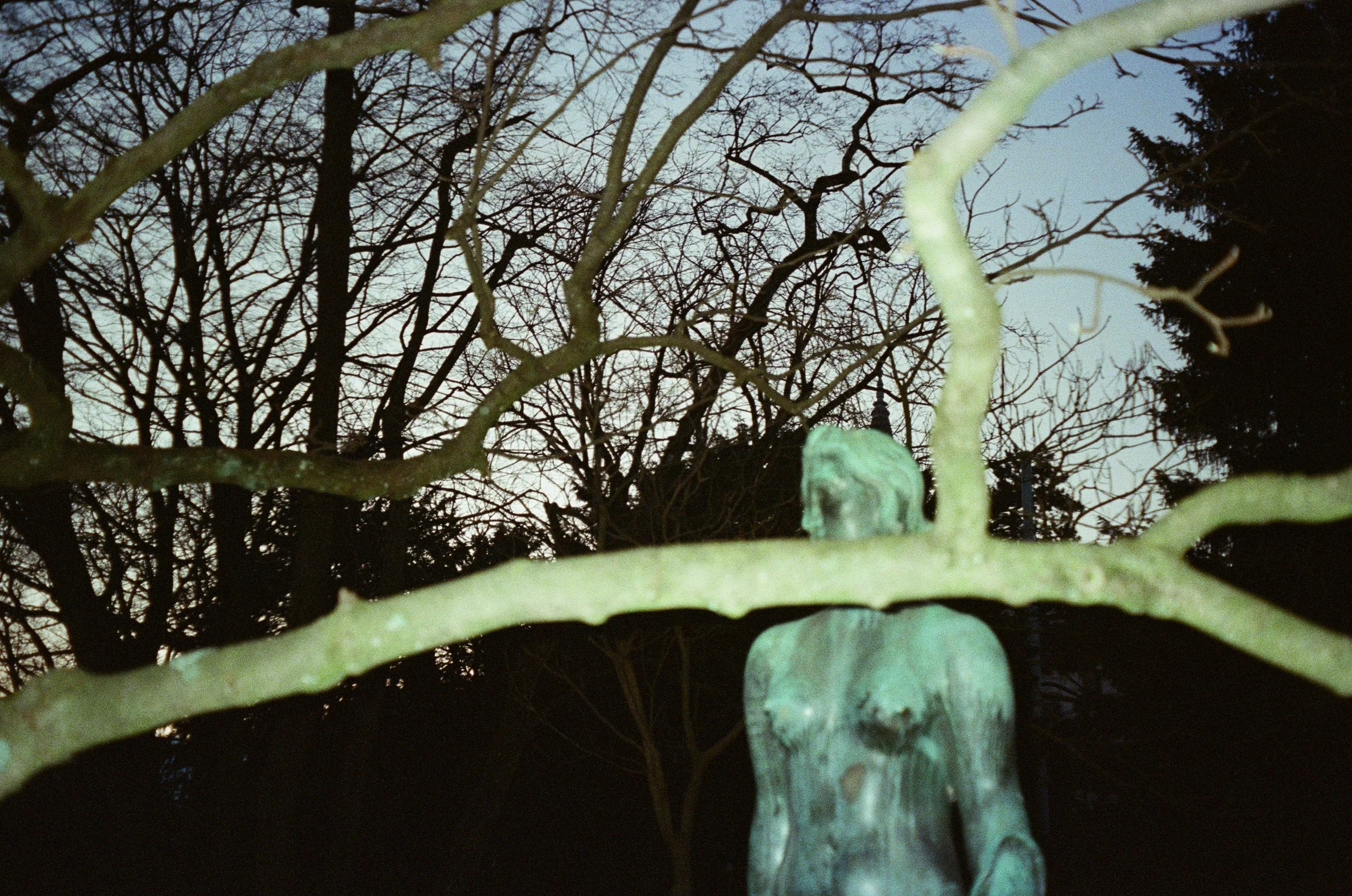 Photo Jan 14 2026, 2 53 37 PM (6).jpg