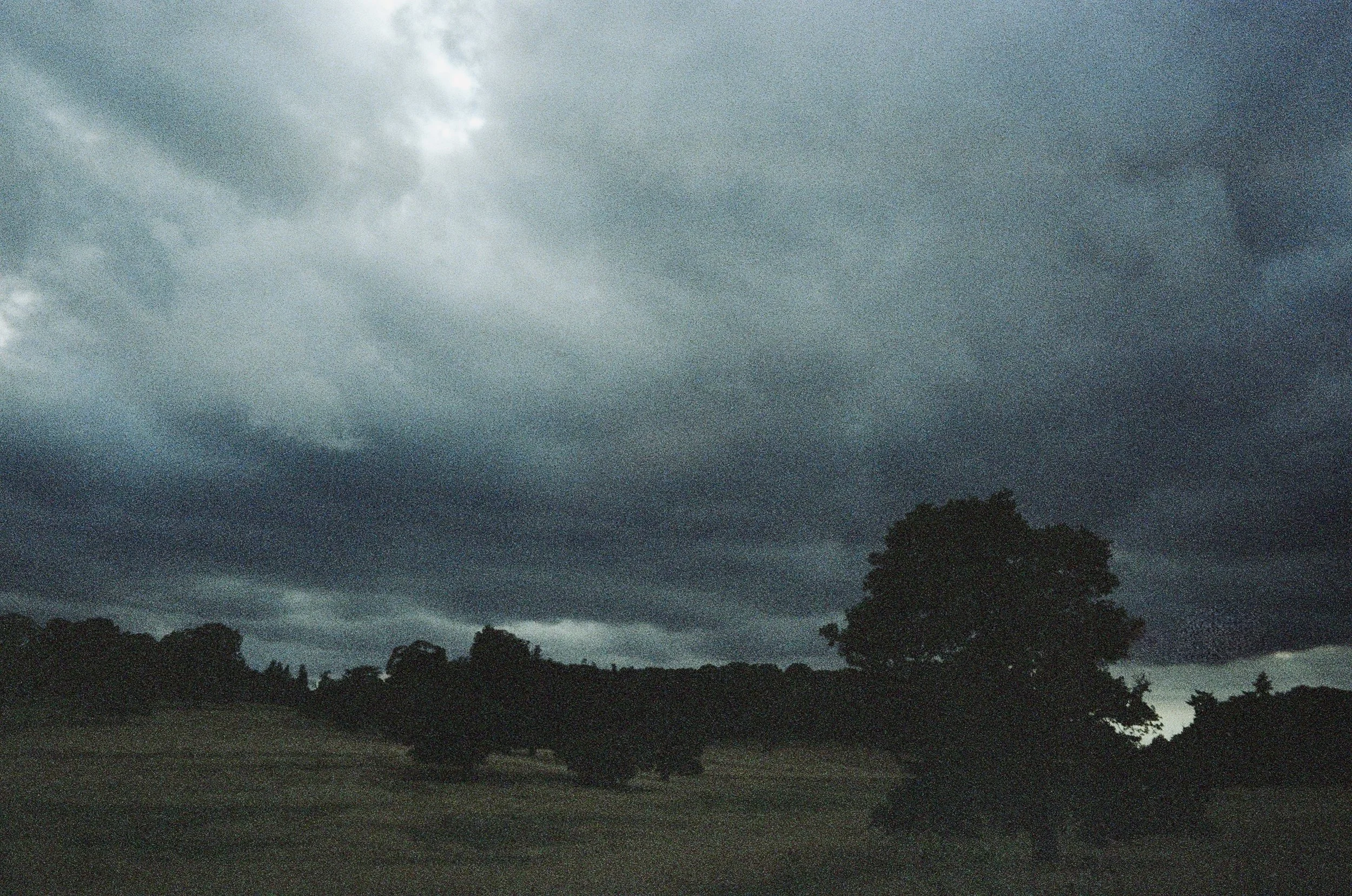 Photo Jan 14 2026, 2 53 37 PM (8).jpg