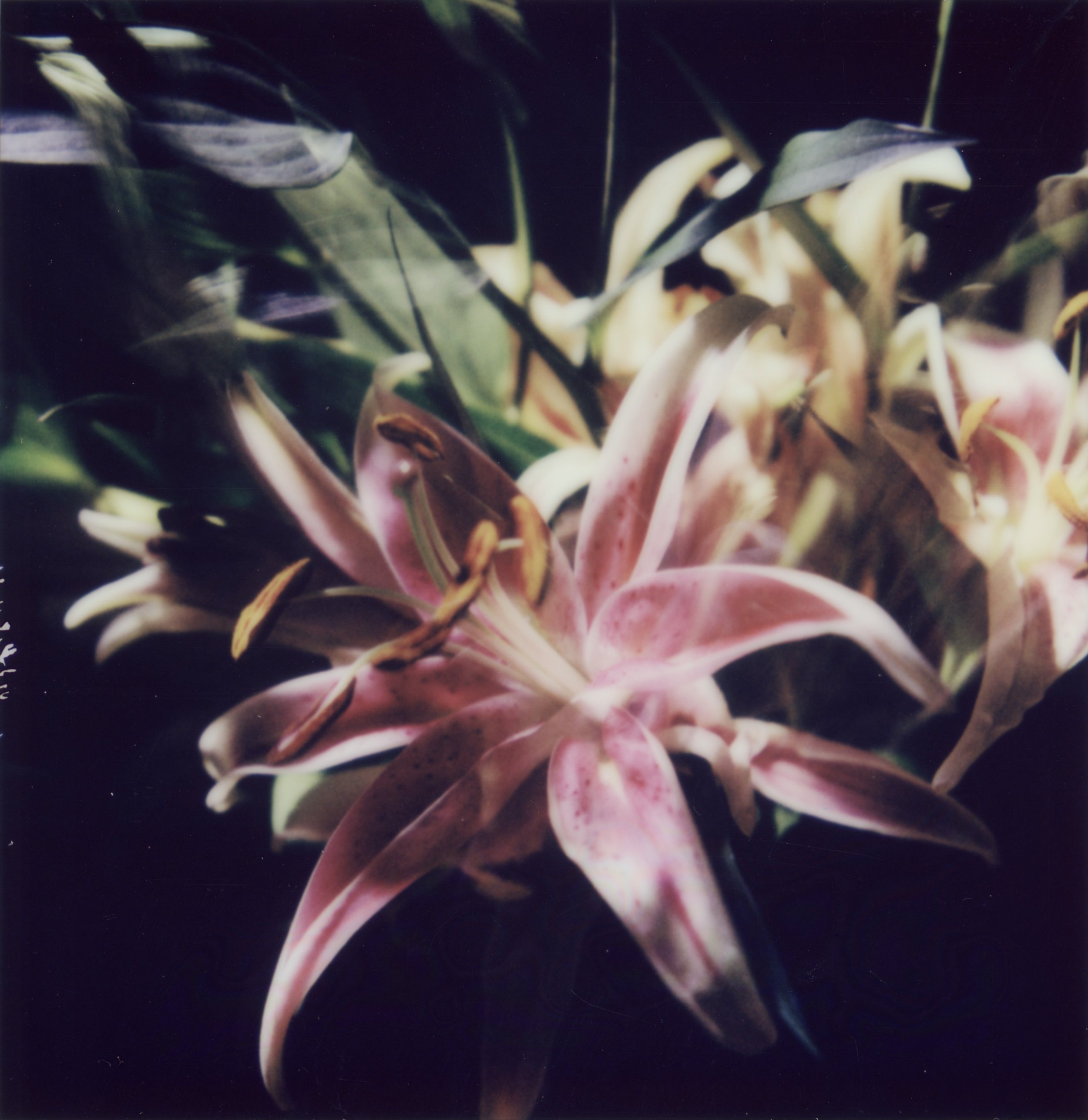 Photo Jan 14 2026, 2 53 37 PM (10).jpg