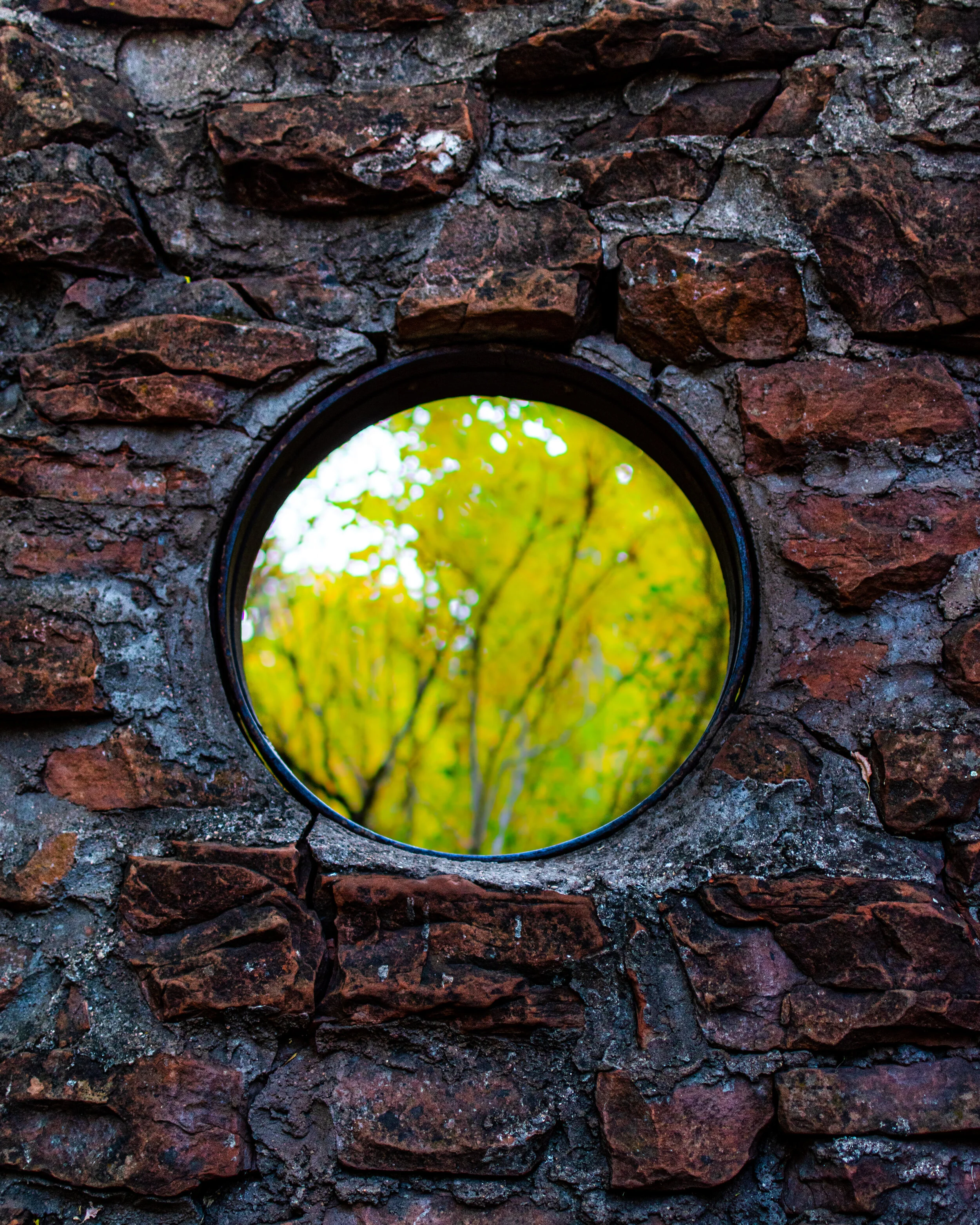 2019: A Year In Review