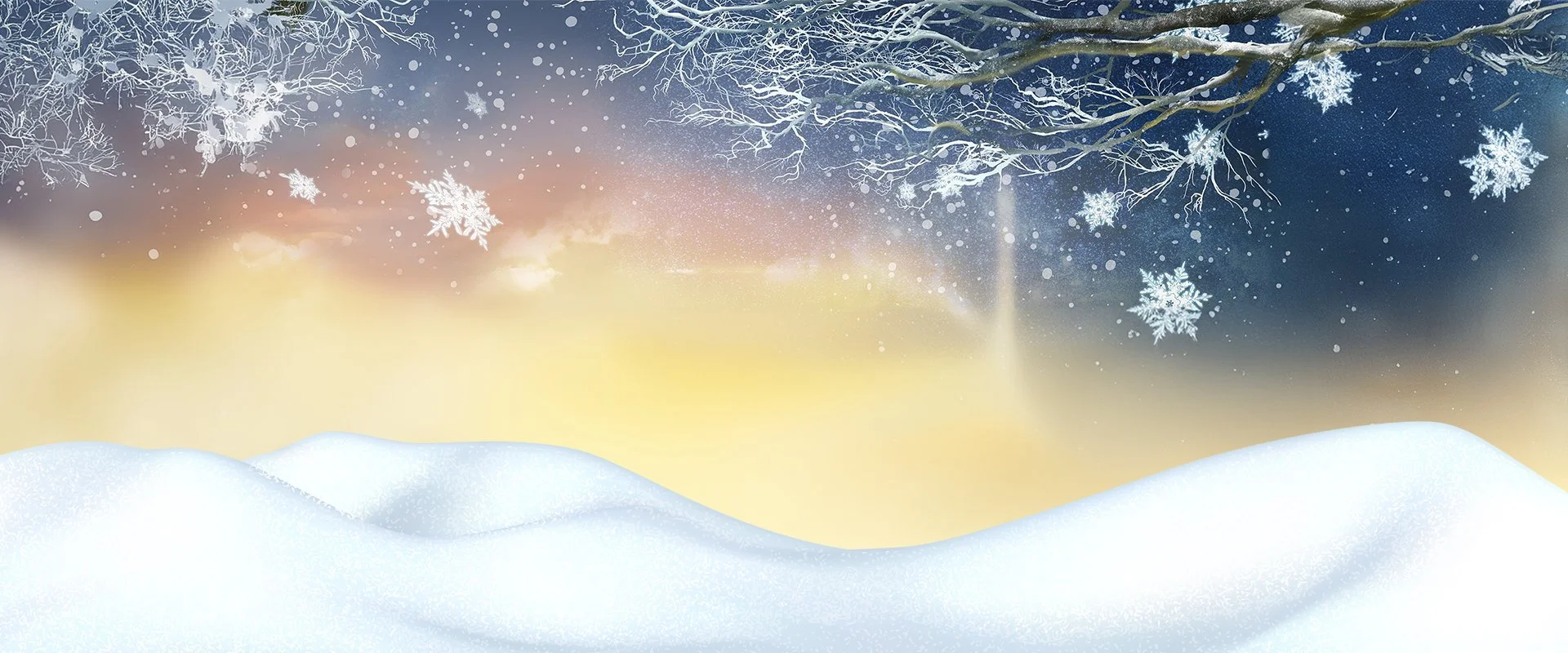 Website_Home_header.jpg