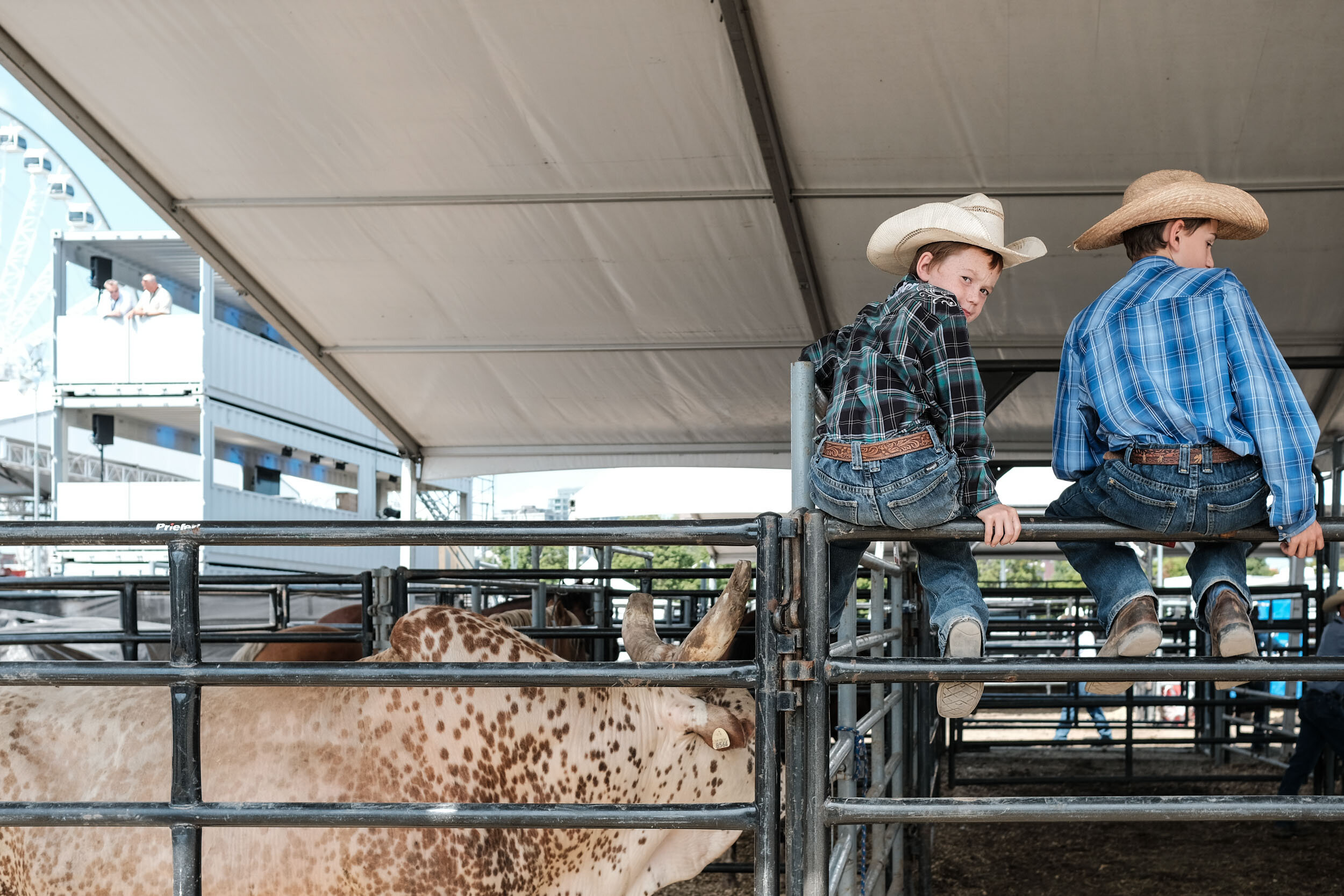 Montreal_Rodeo_27 août 2017_©VivienGaumand_1.jpg