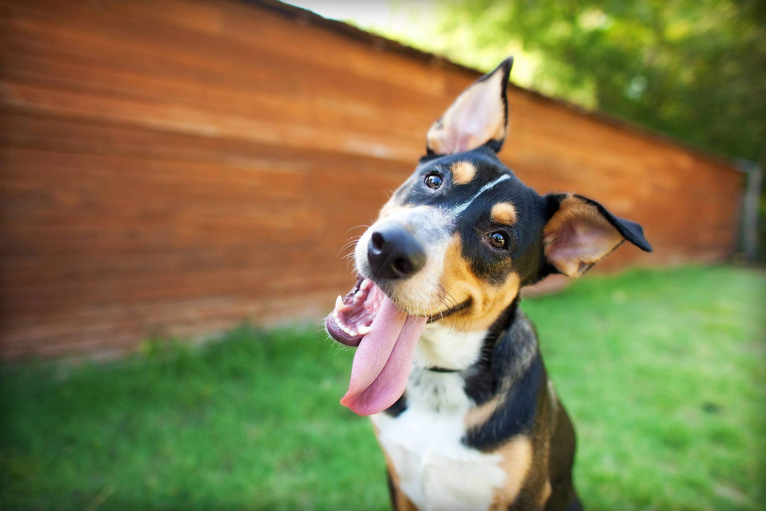 iStock-467923438.jpg