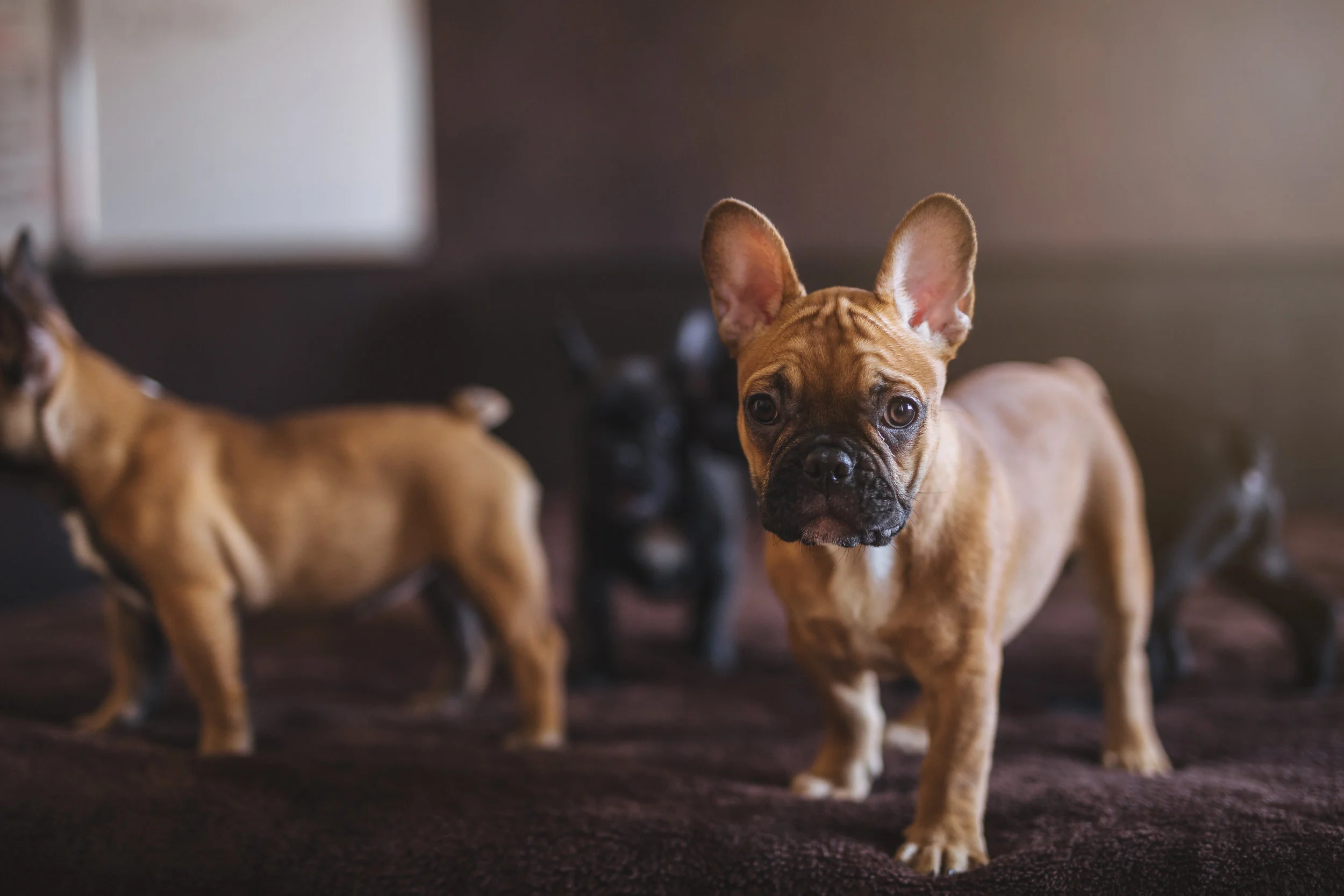 iStock-1013159548.jpg