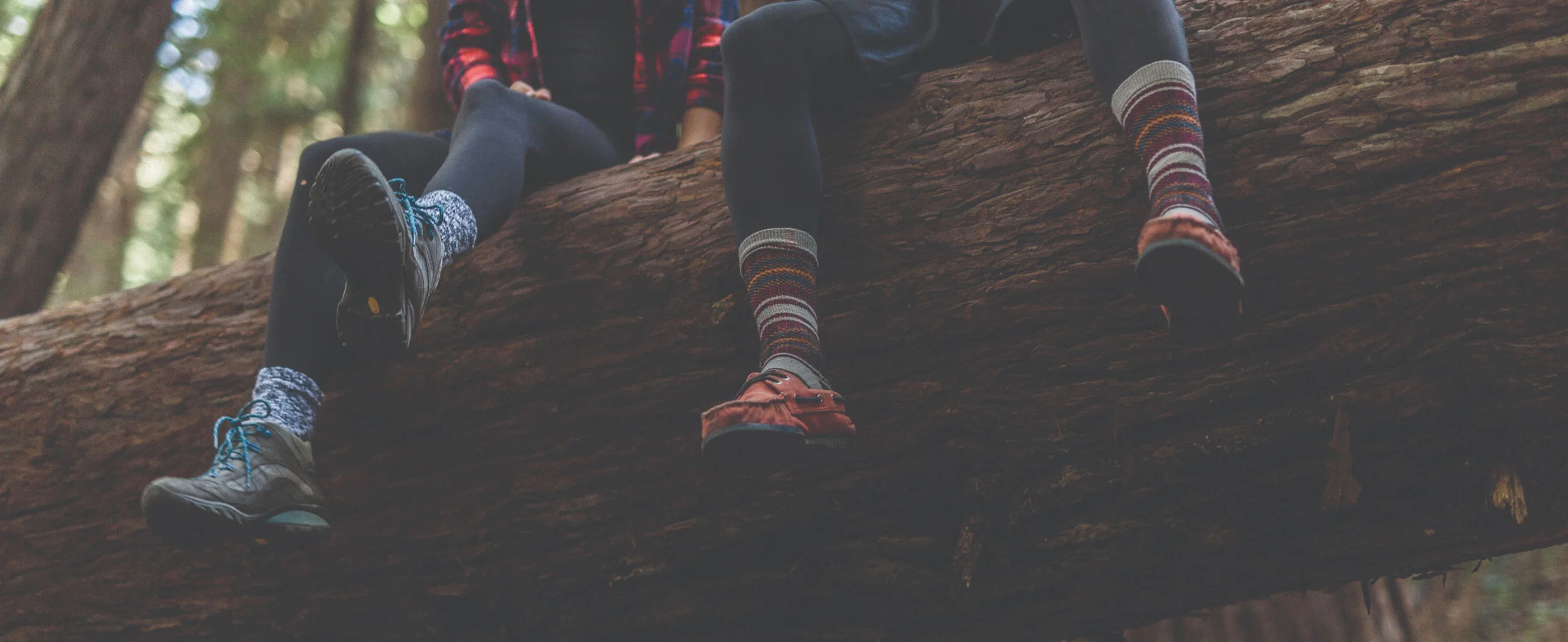Two hikers sitting on a log in a forest