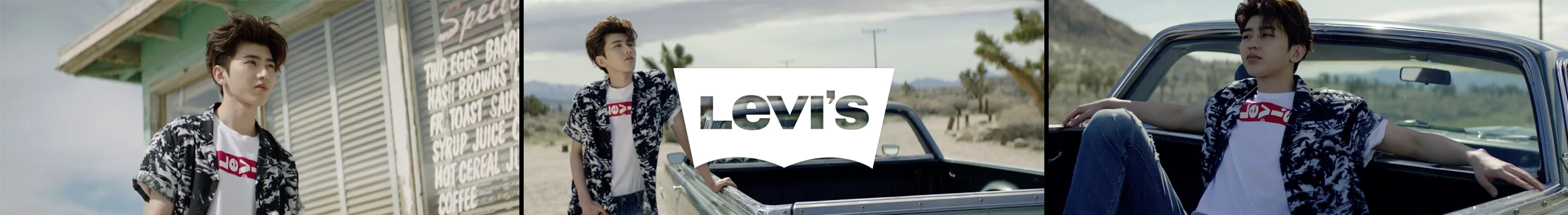 Levis_Thumb_B.jpg