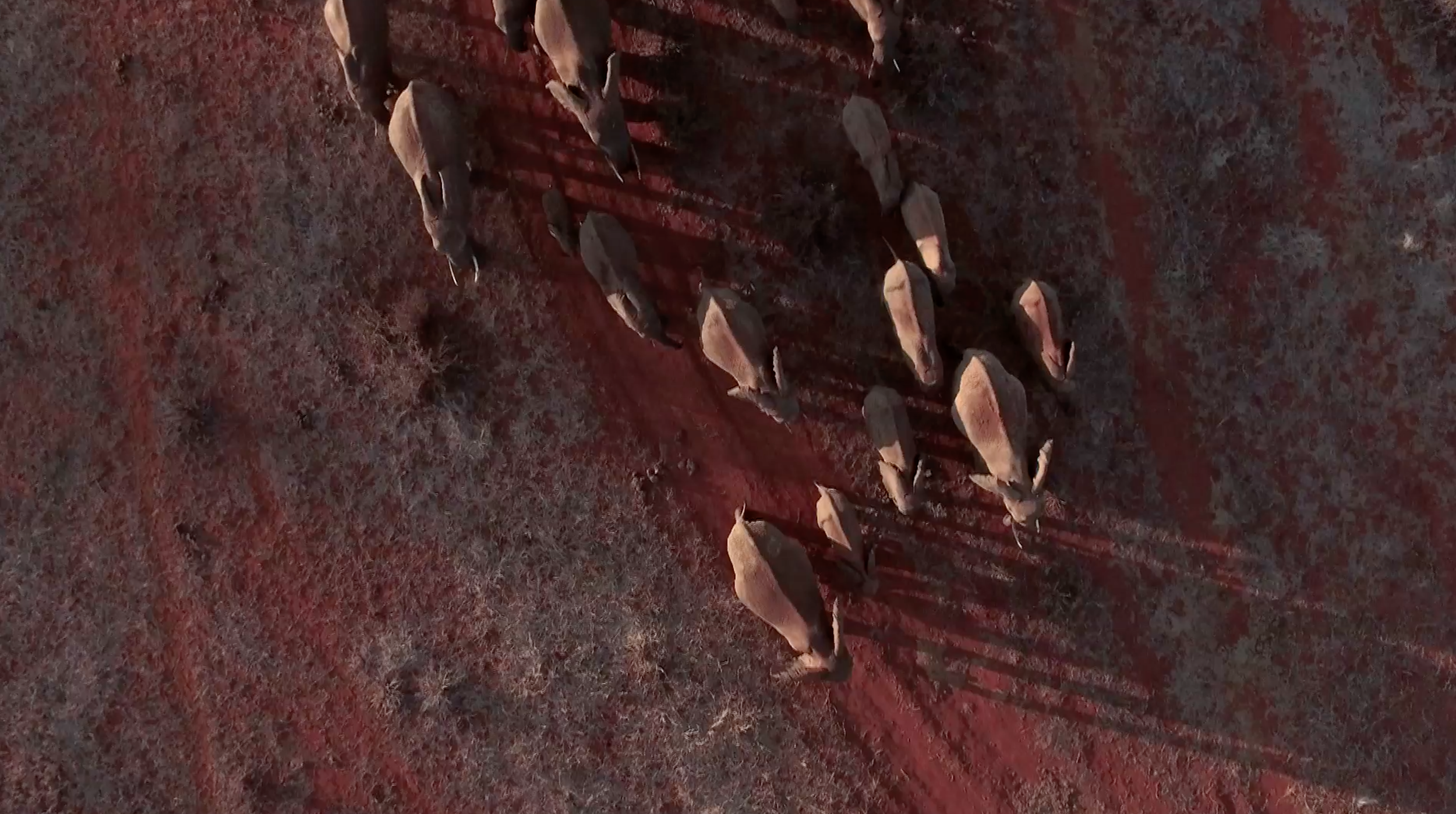 Screen Shot 2019-04-09 at 14.36.07.png