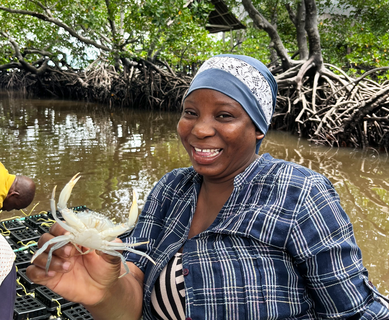 Donate towards Crabs Alive project