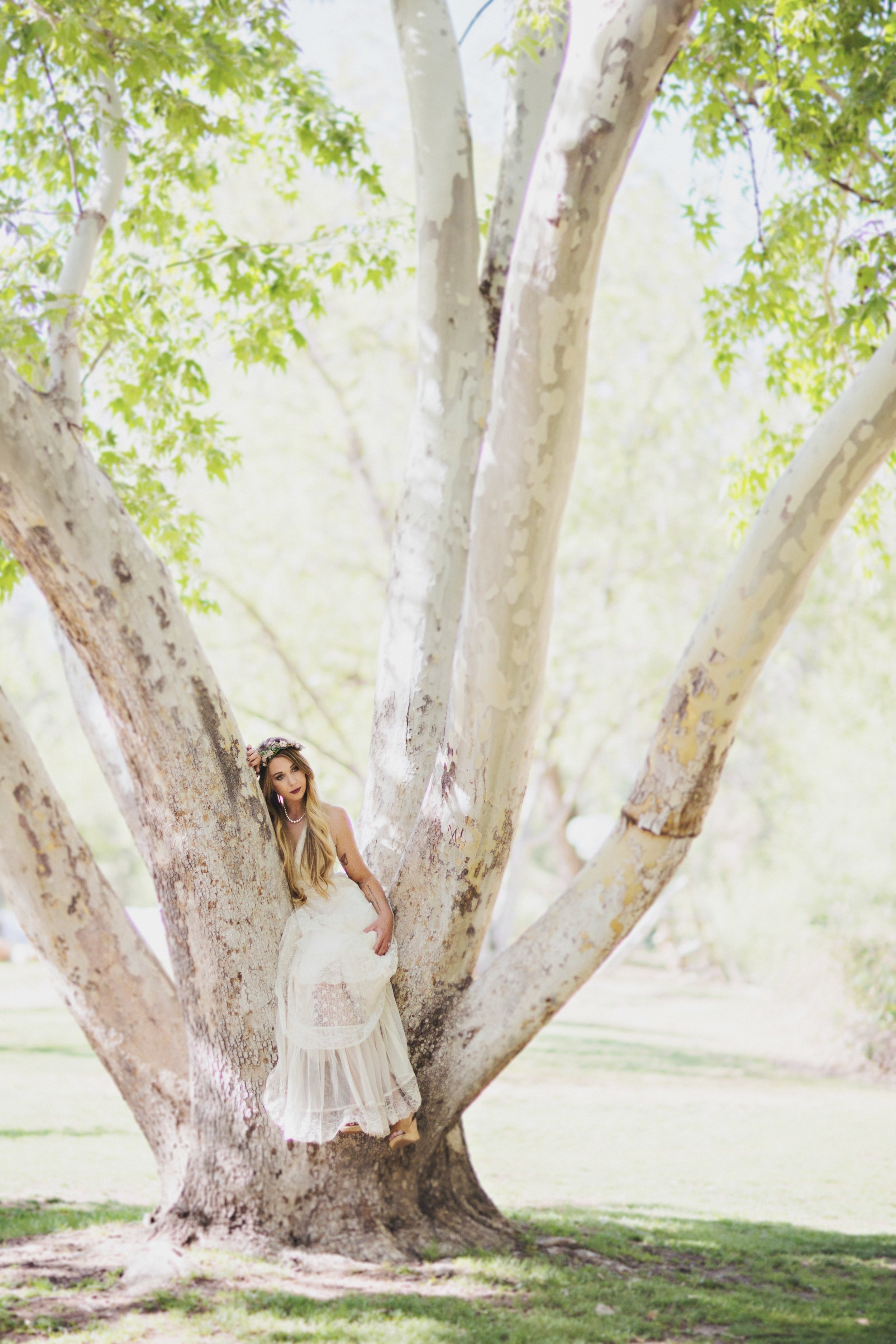 weddings-payson-01.jpg