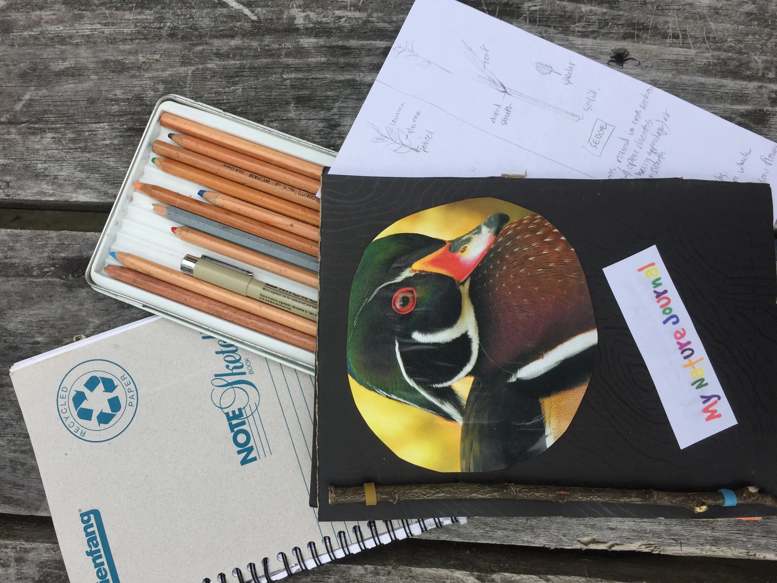 Nature Journaling Workshop