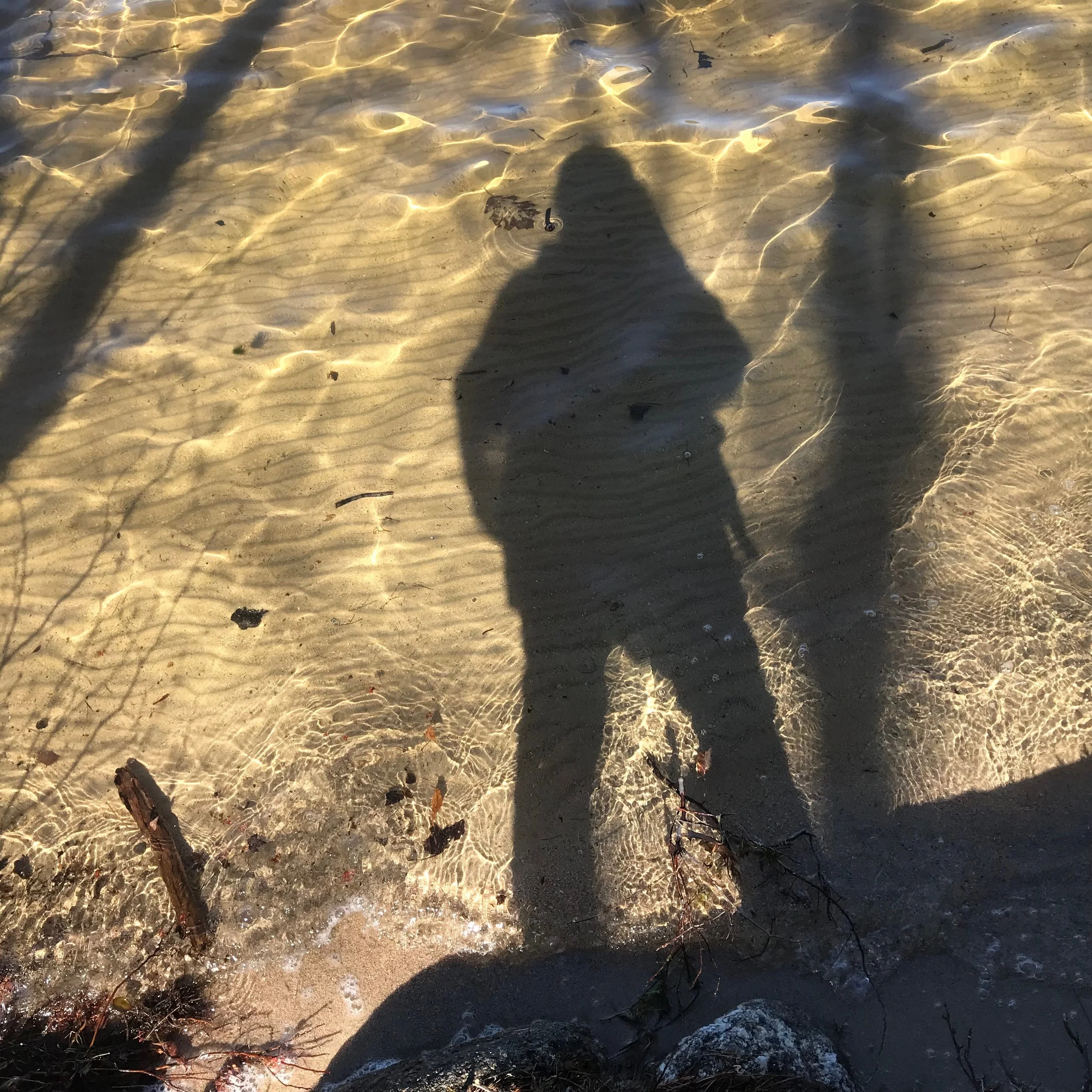 2018 Banner Year for Water Quality!