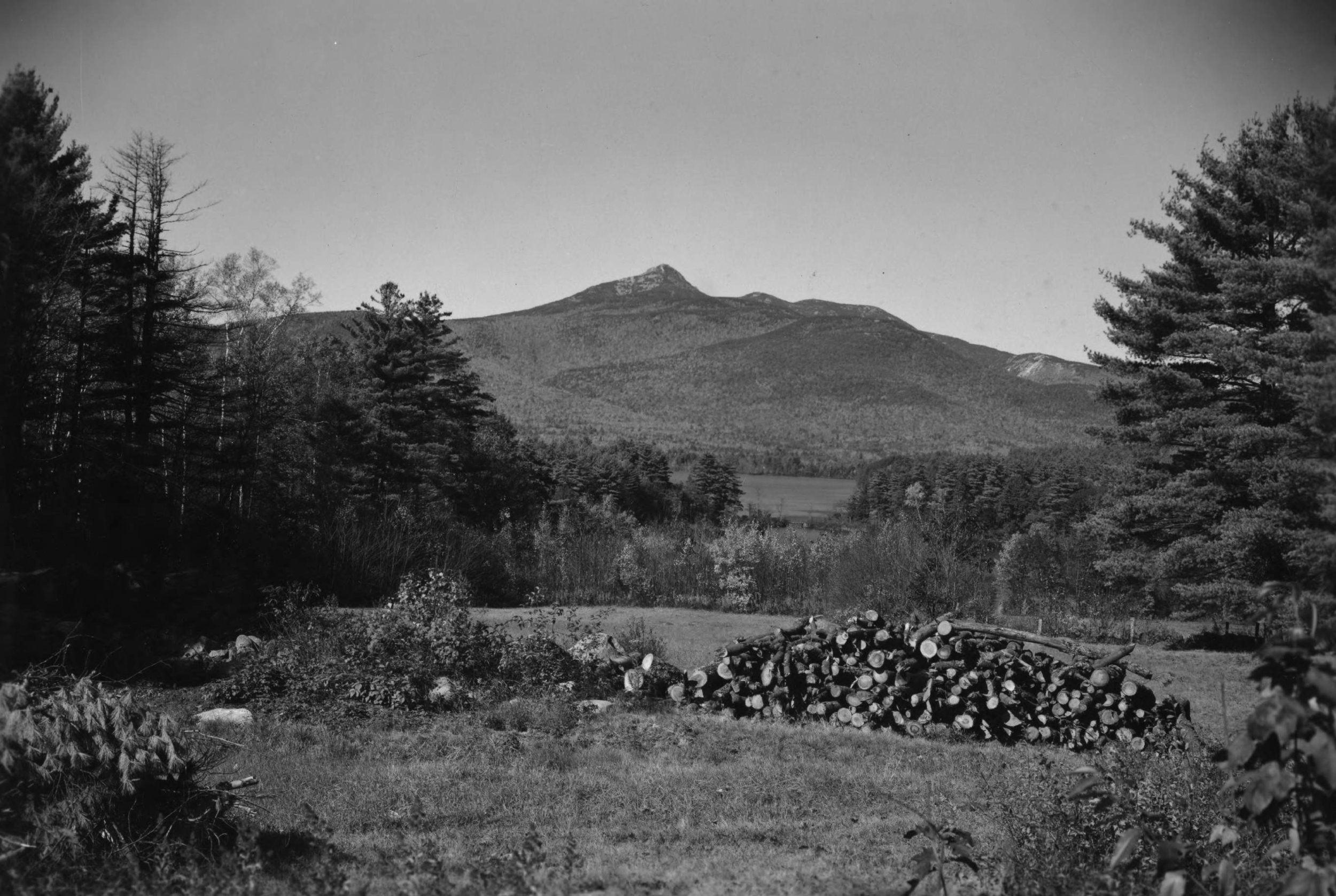 View from Basin View Lot, 1950