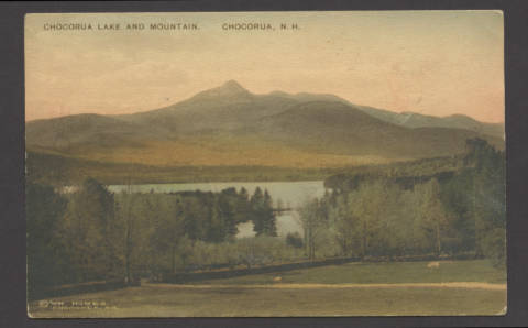 Vintage postcard taken from Basin View Lot