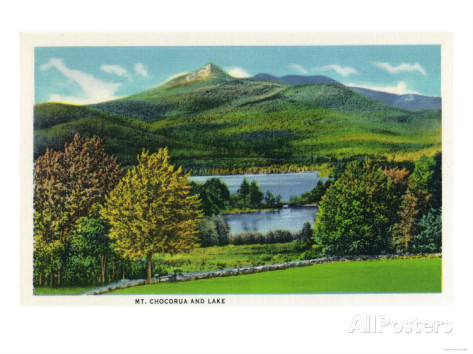 Vintage postcard taken from Basin View Lot