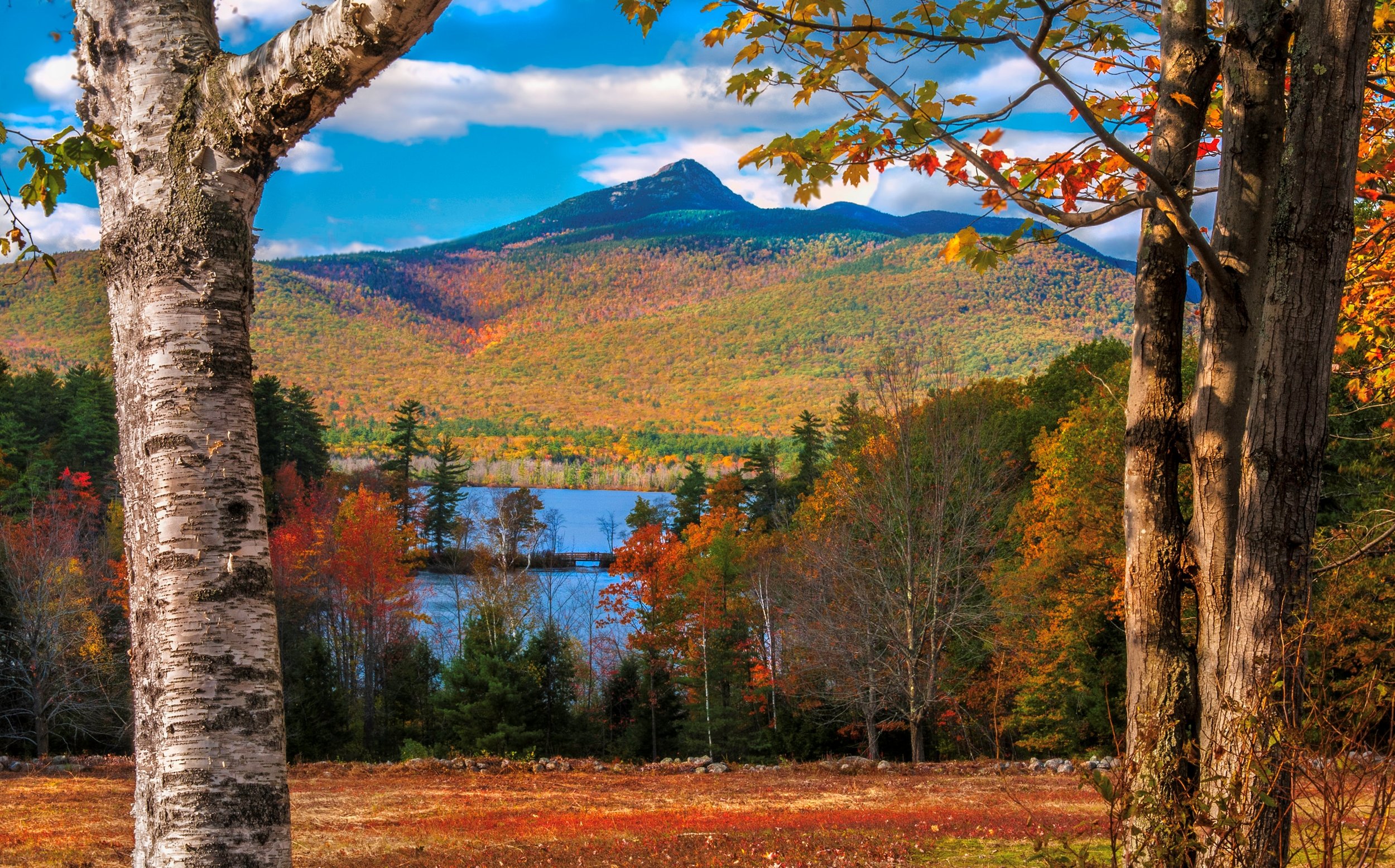 View from Basin View Lot, autumn