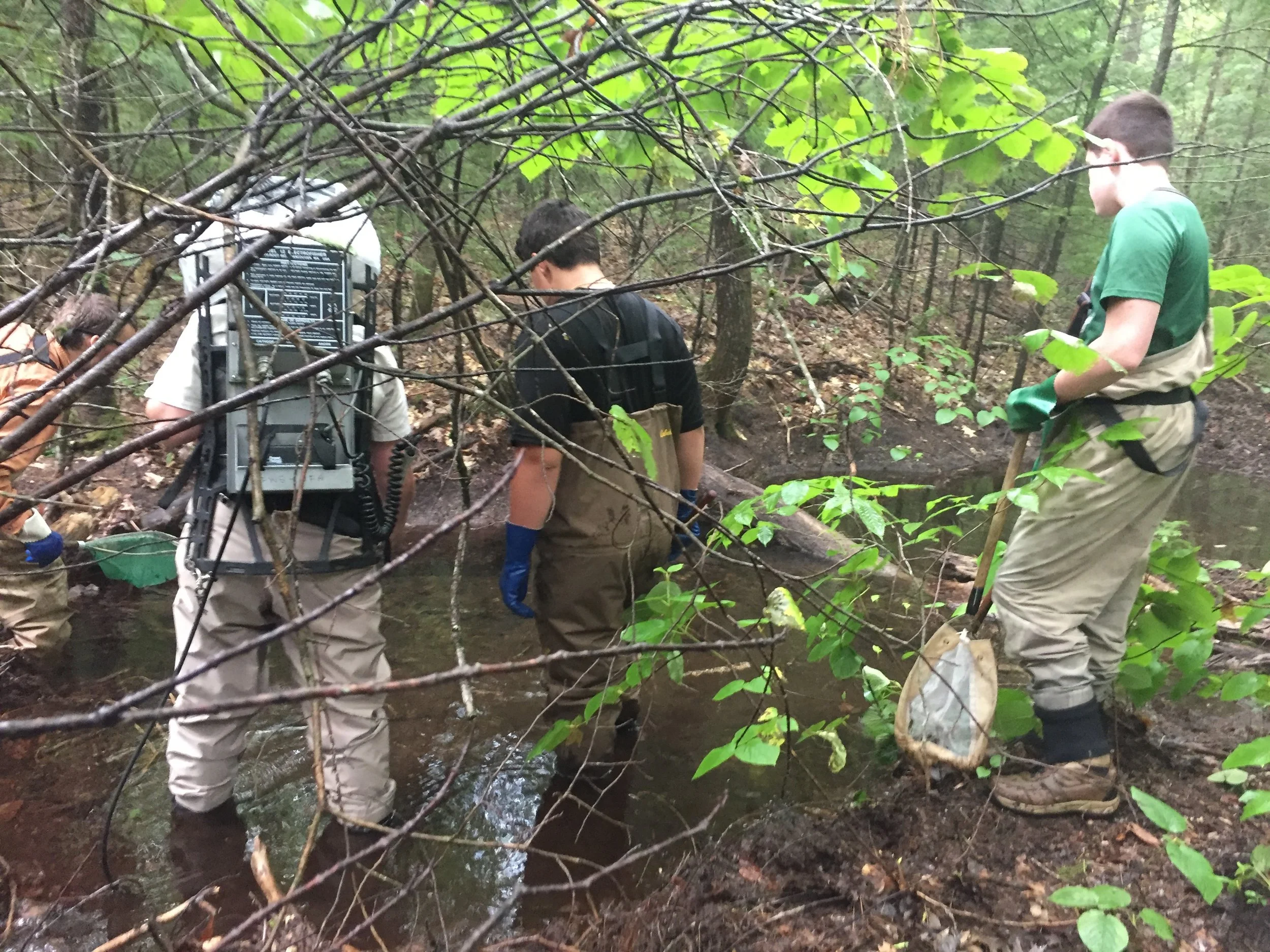 "Something Fishy" Exploration