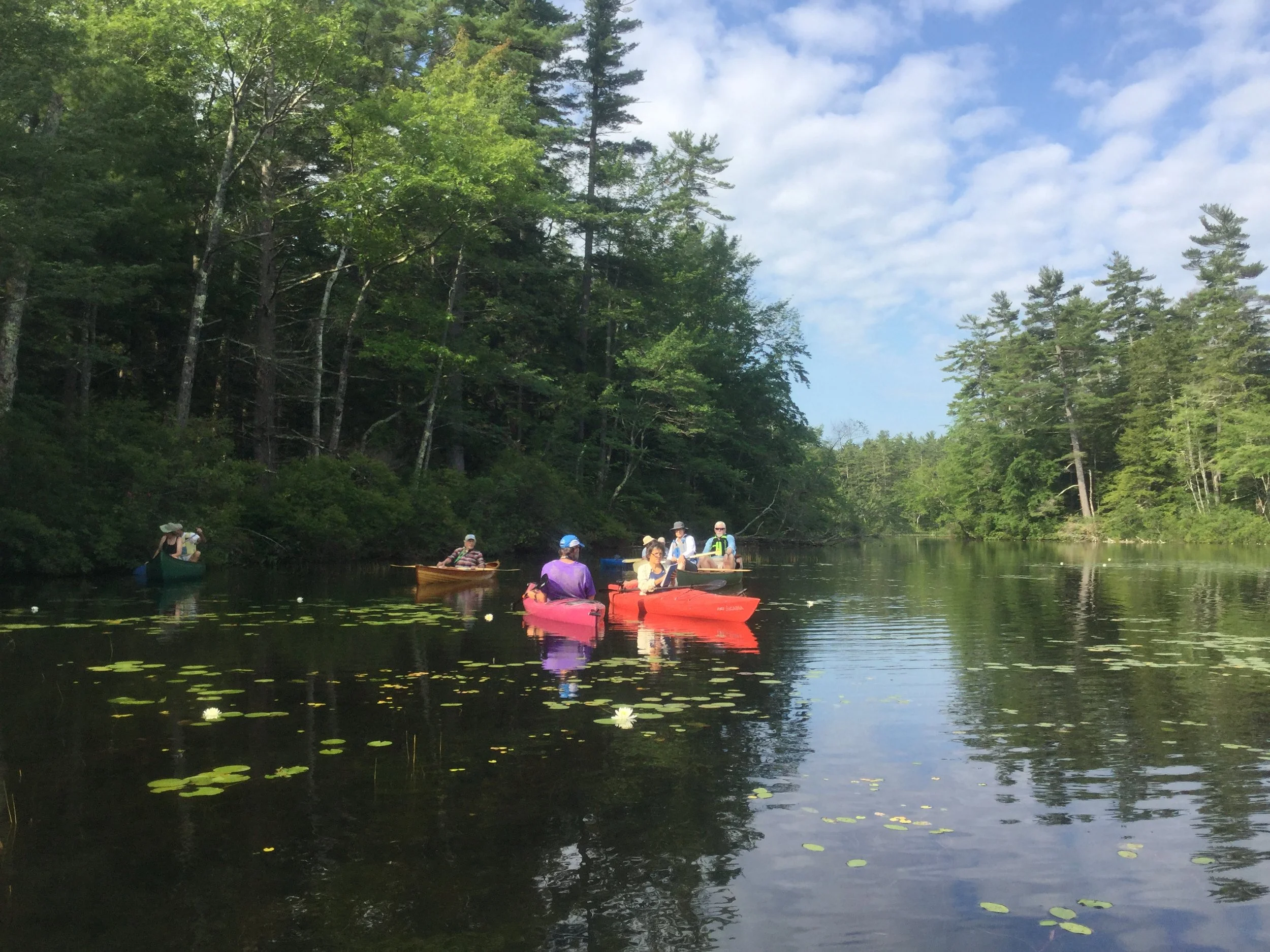 Lake Paddle on Little Chocorua Lake