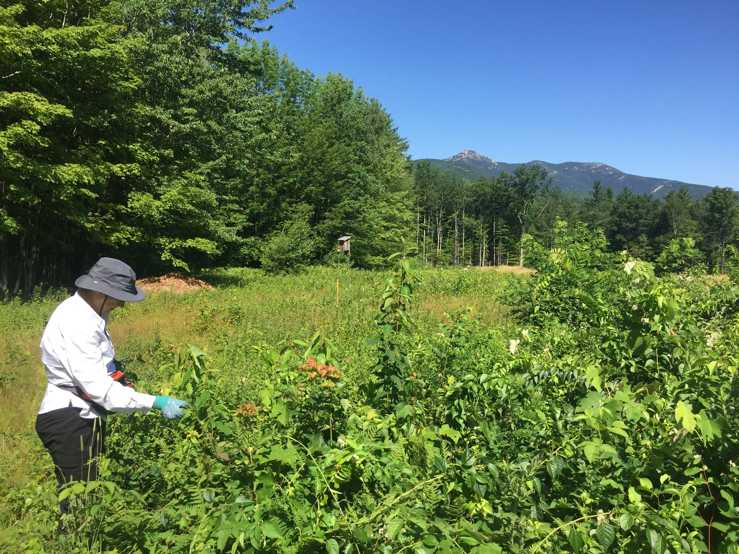 Trail Stewardship Day
