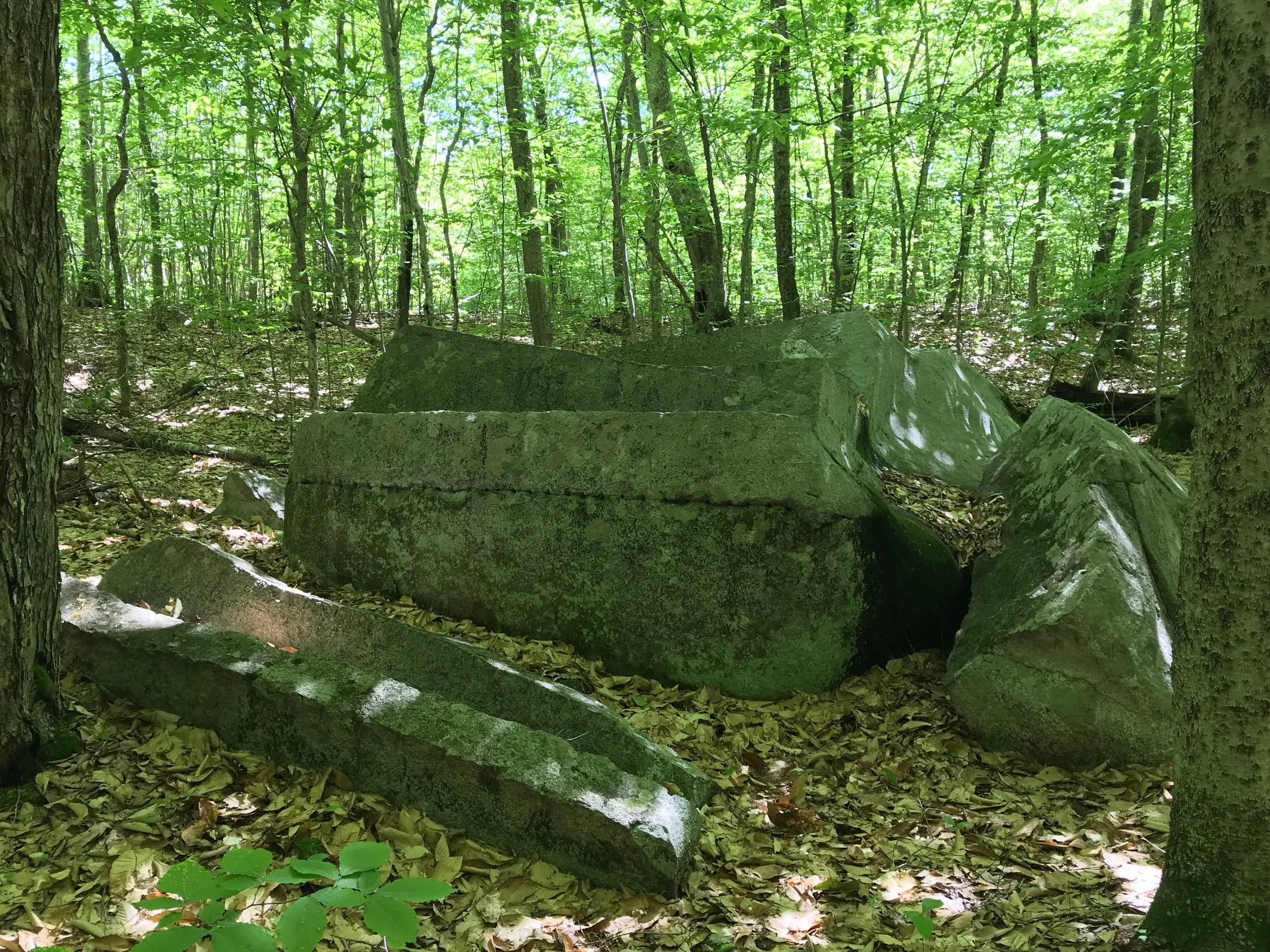 Trail Stewardship Day