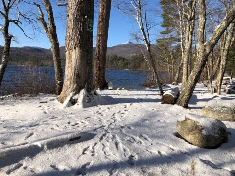 2019.first.snow.lake.lflaccus.jpeg