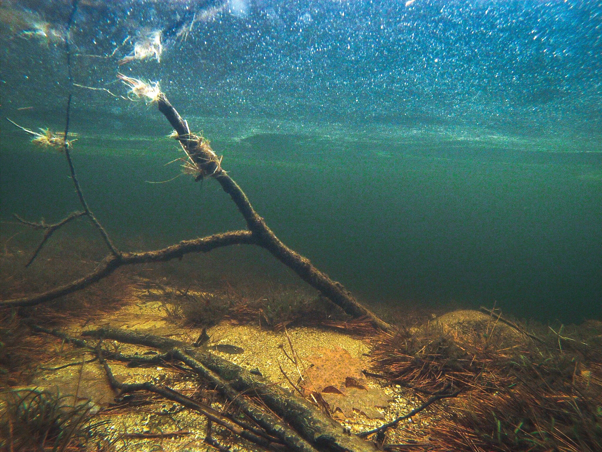 2016 Chocorua Lake Water-Quality Report