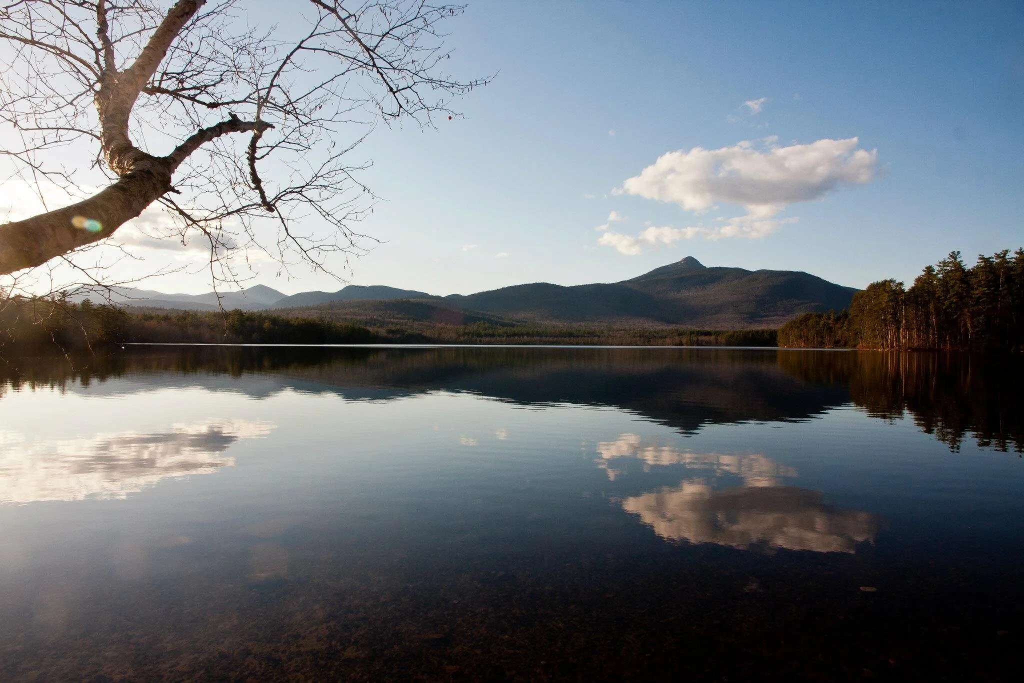 Chocorua Lake Conservancy is Formed