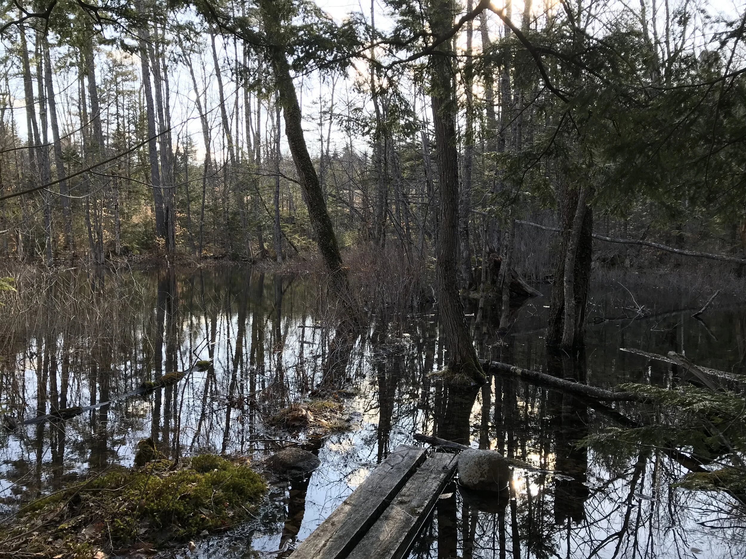 Self-Guided CLC Trail Stewardship