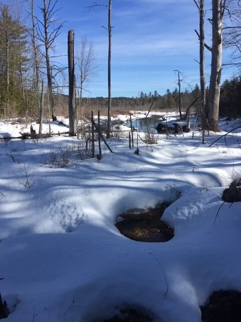 Thank you to our stewards and volunteers!