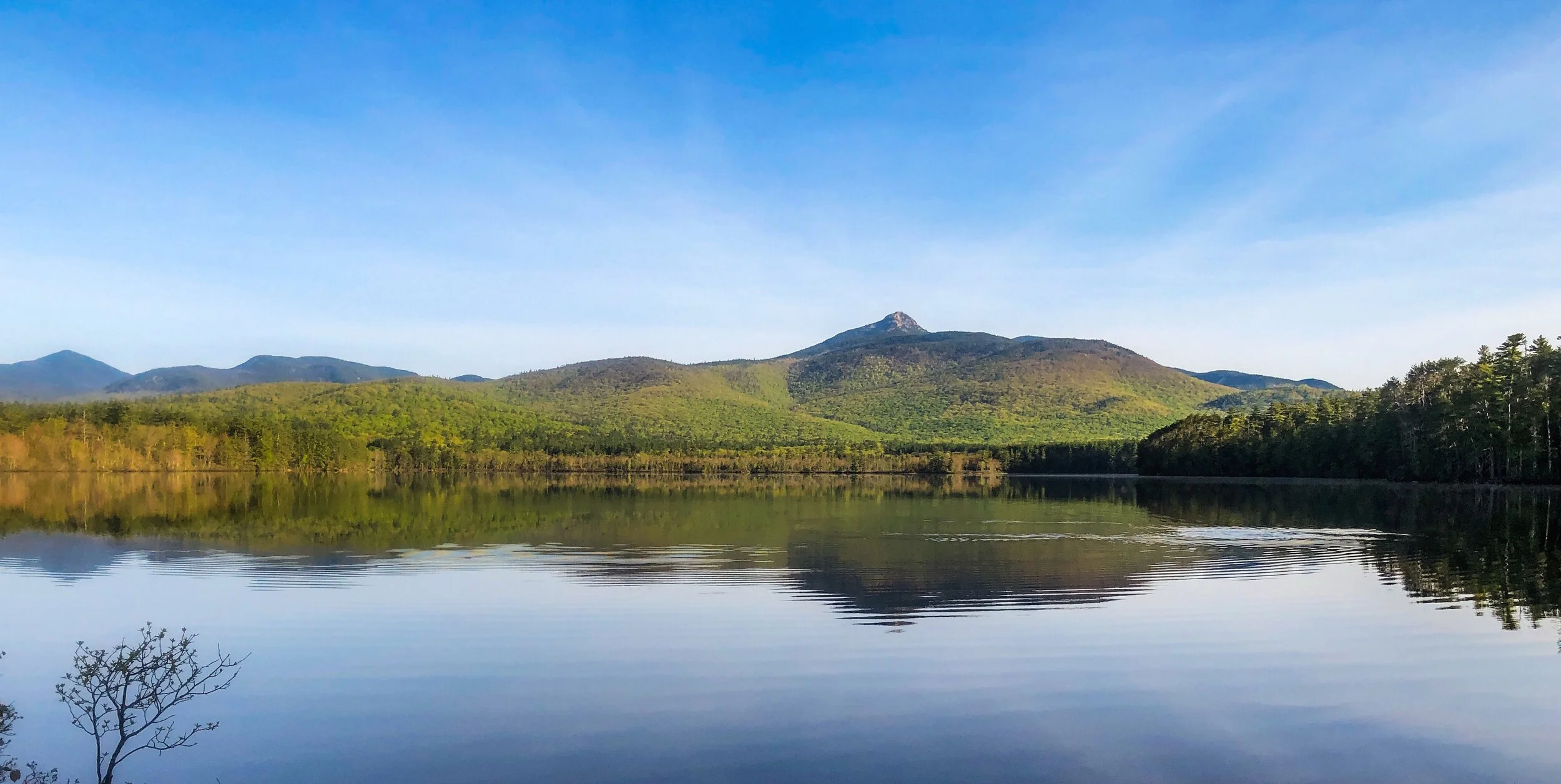 2020 Spring Newsletter