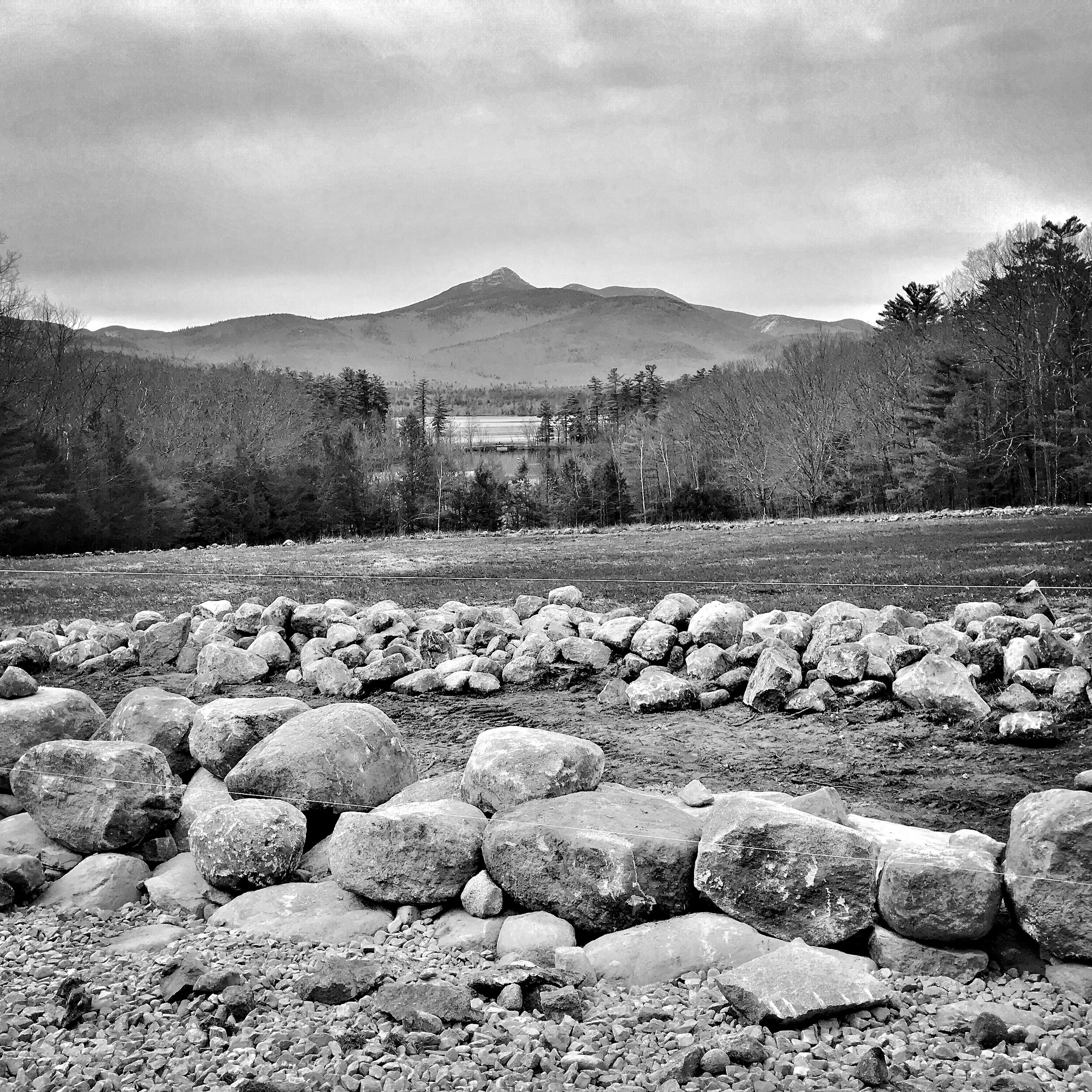 Renew Your Membership or Become a Member Now