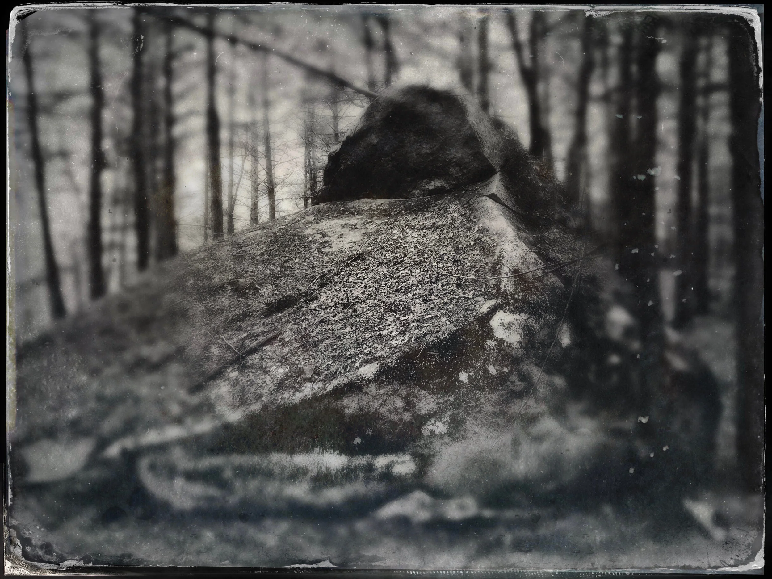 Stewardship Day at C.C. Browne