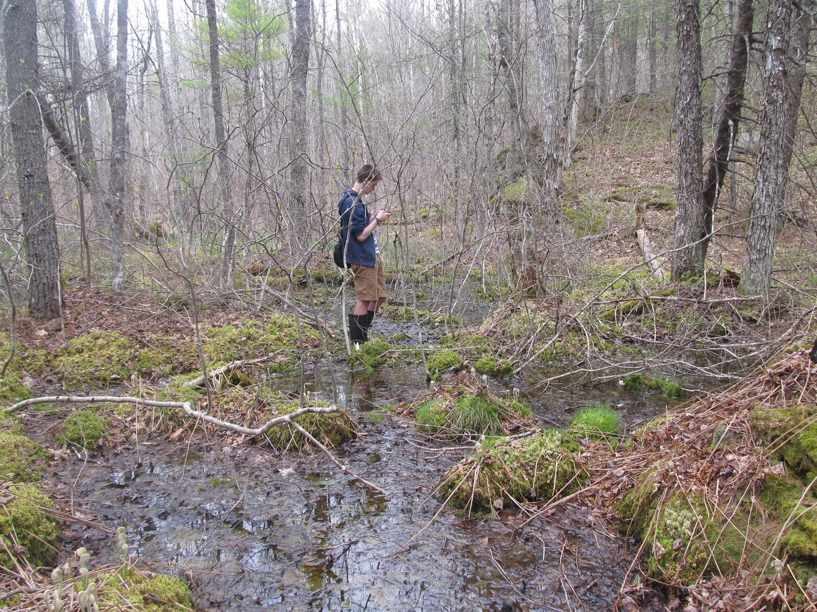 Wonders of Vernal Pools—replay &amp; learn more