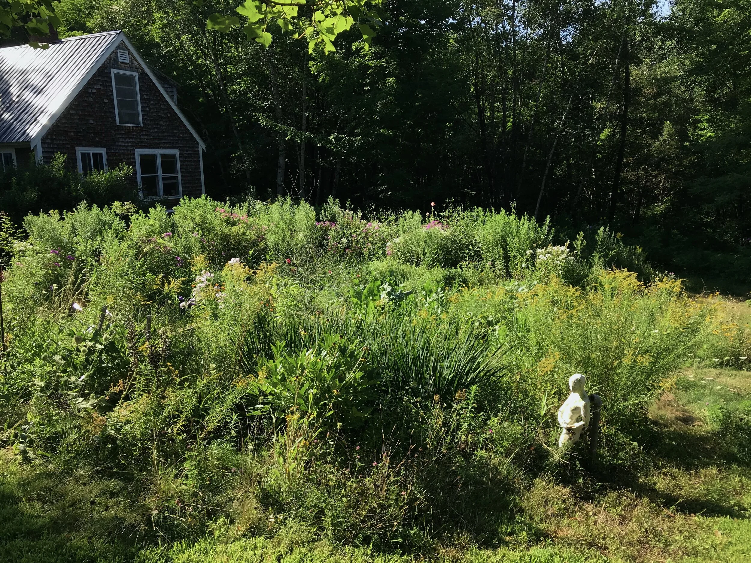 Backyard Habitat for Wild Neighbors