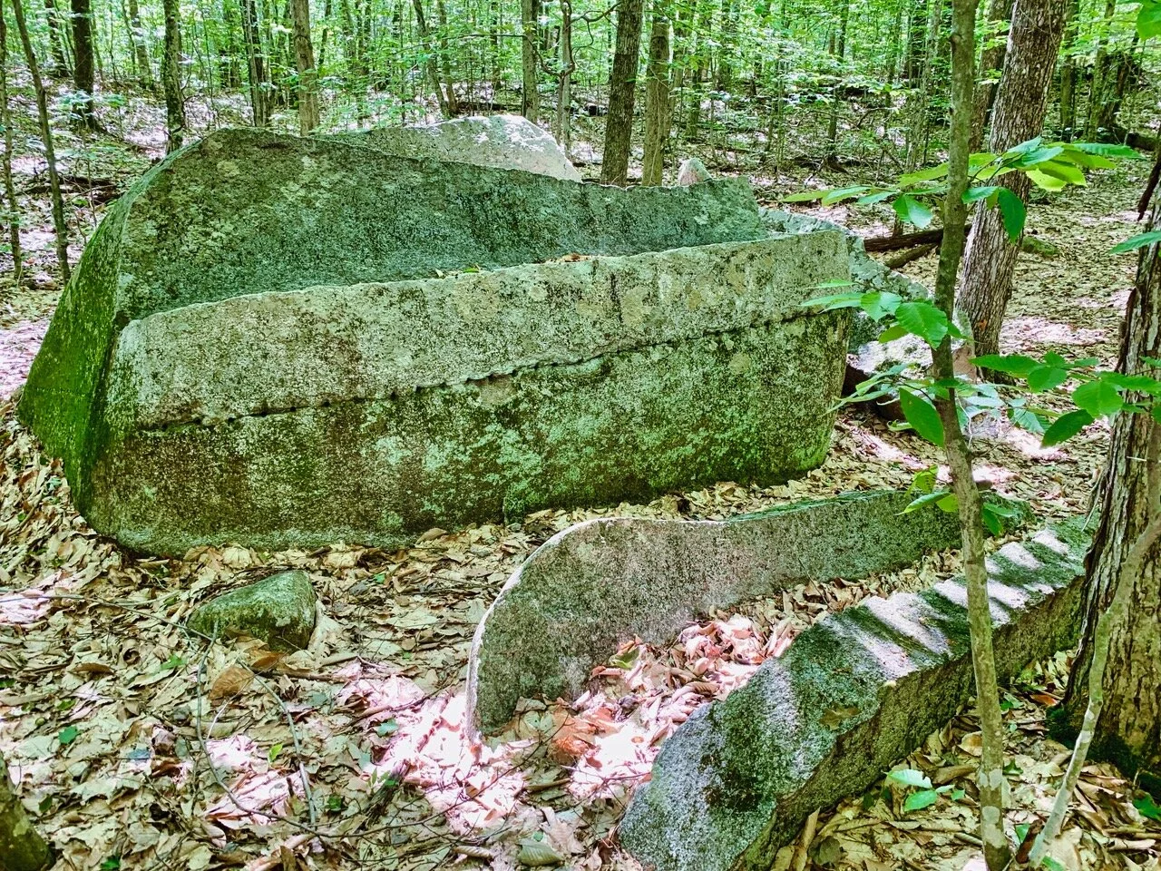 Geology Walk with Rick Allmendinger