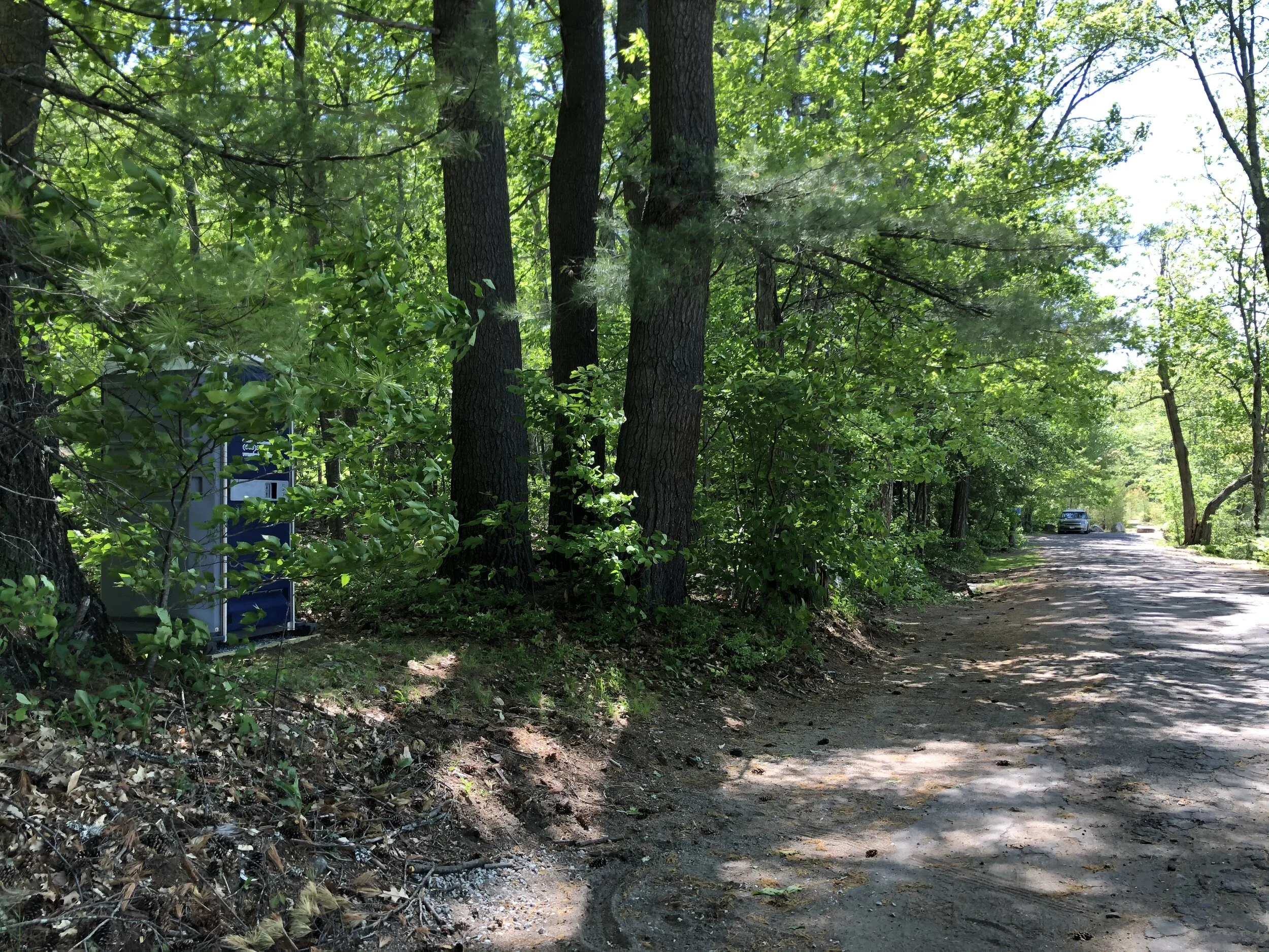 Thank you to The Tamworth Foundation!