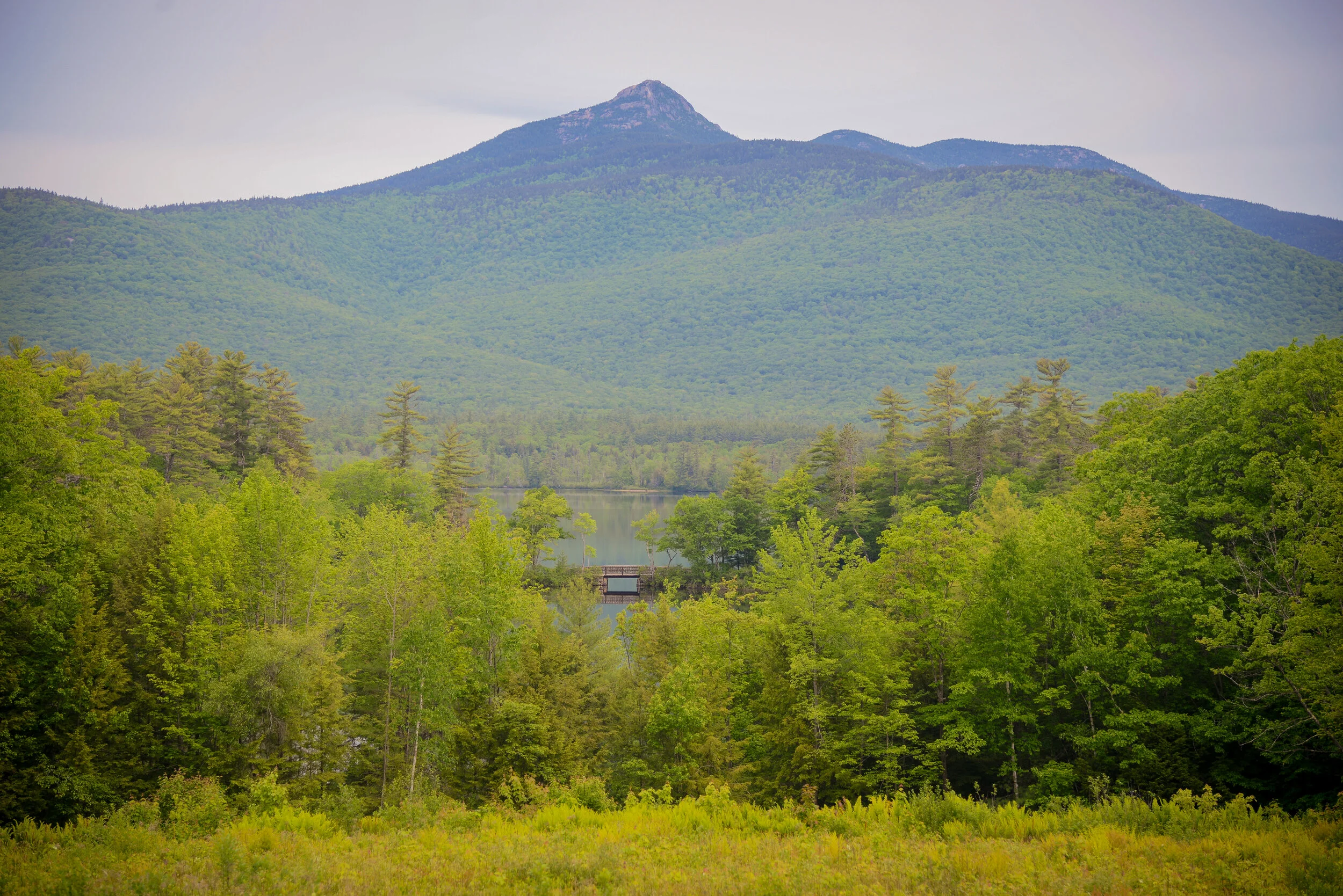 Chocorua Lake Basin View Lot is Open to the Public!