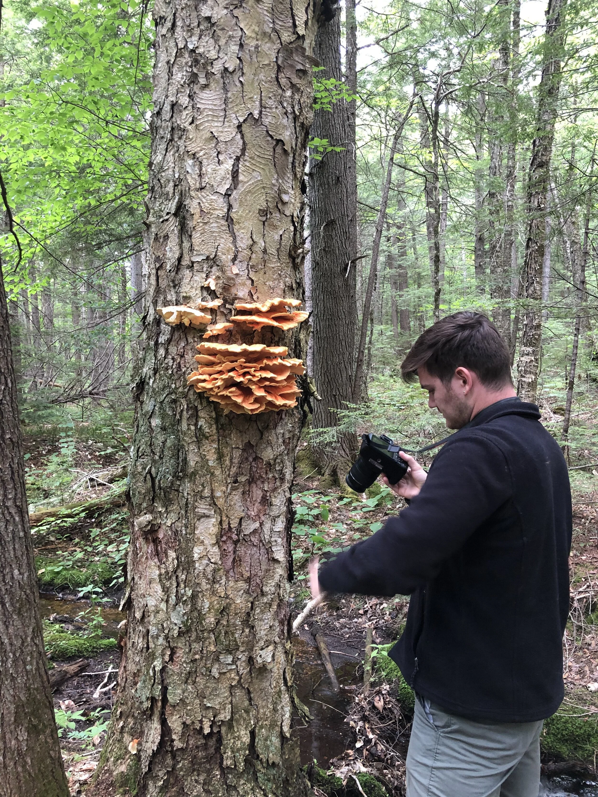 BioBlitz Natural Resource Inventory