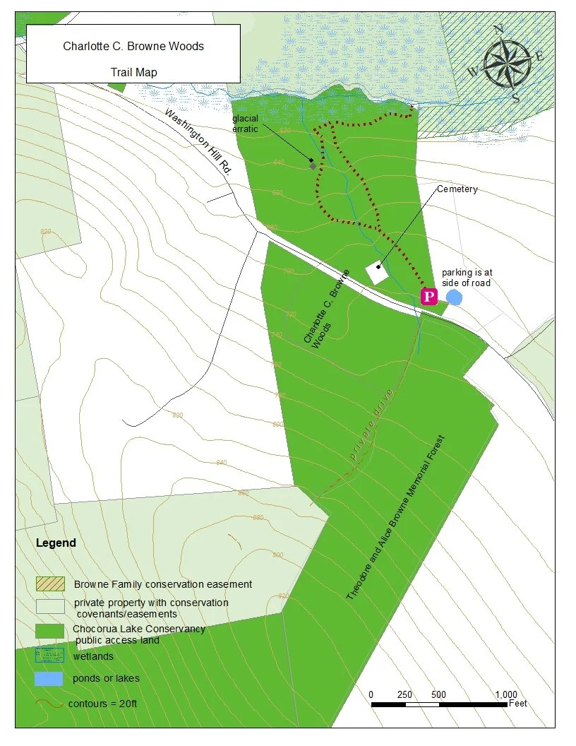Stewardship Morning at C.C. Browne Woods