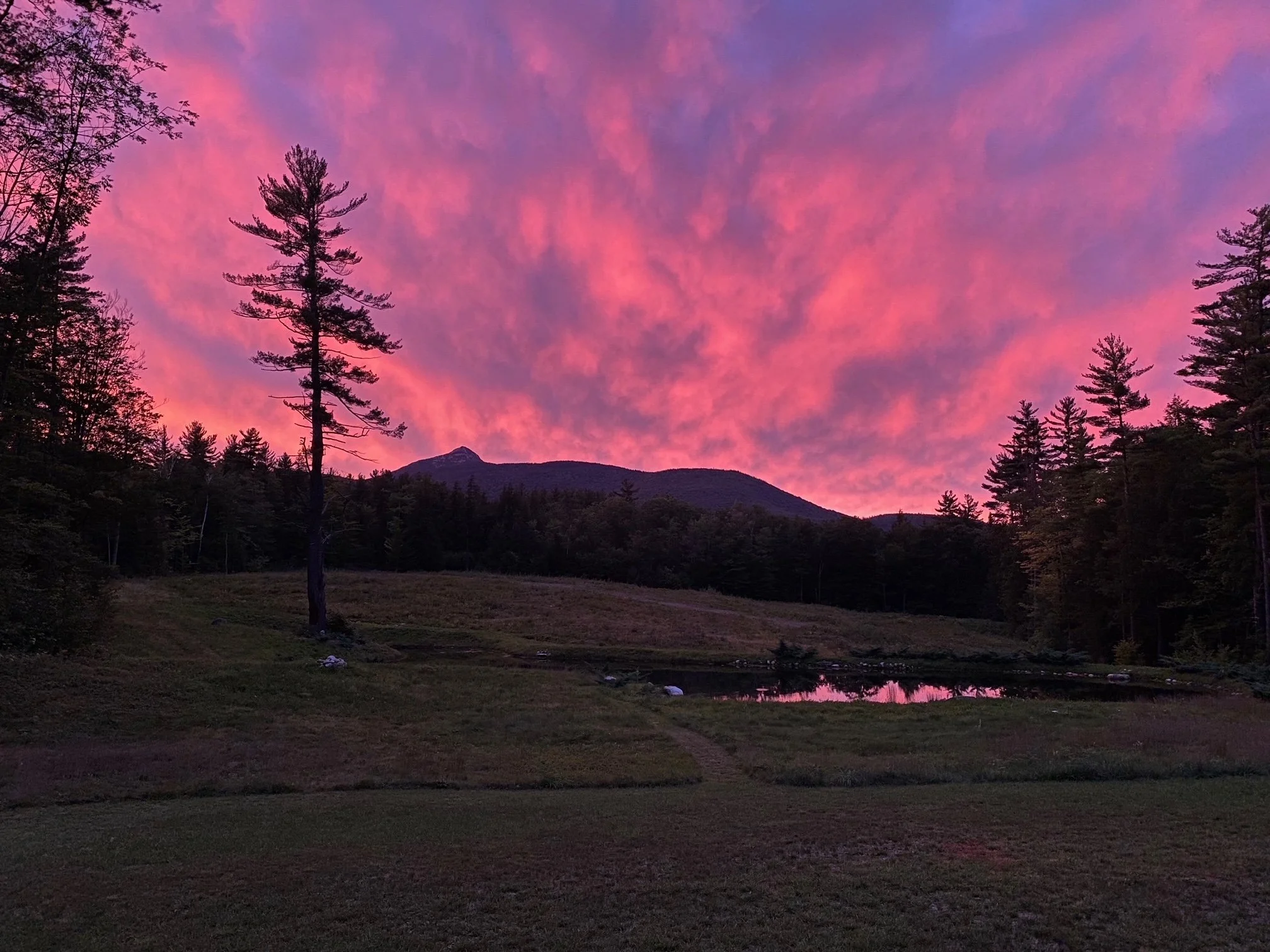 Fall 2021/Winter 2022 Newsletter