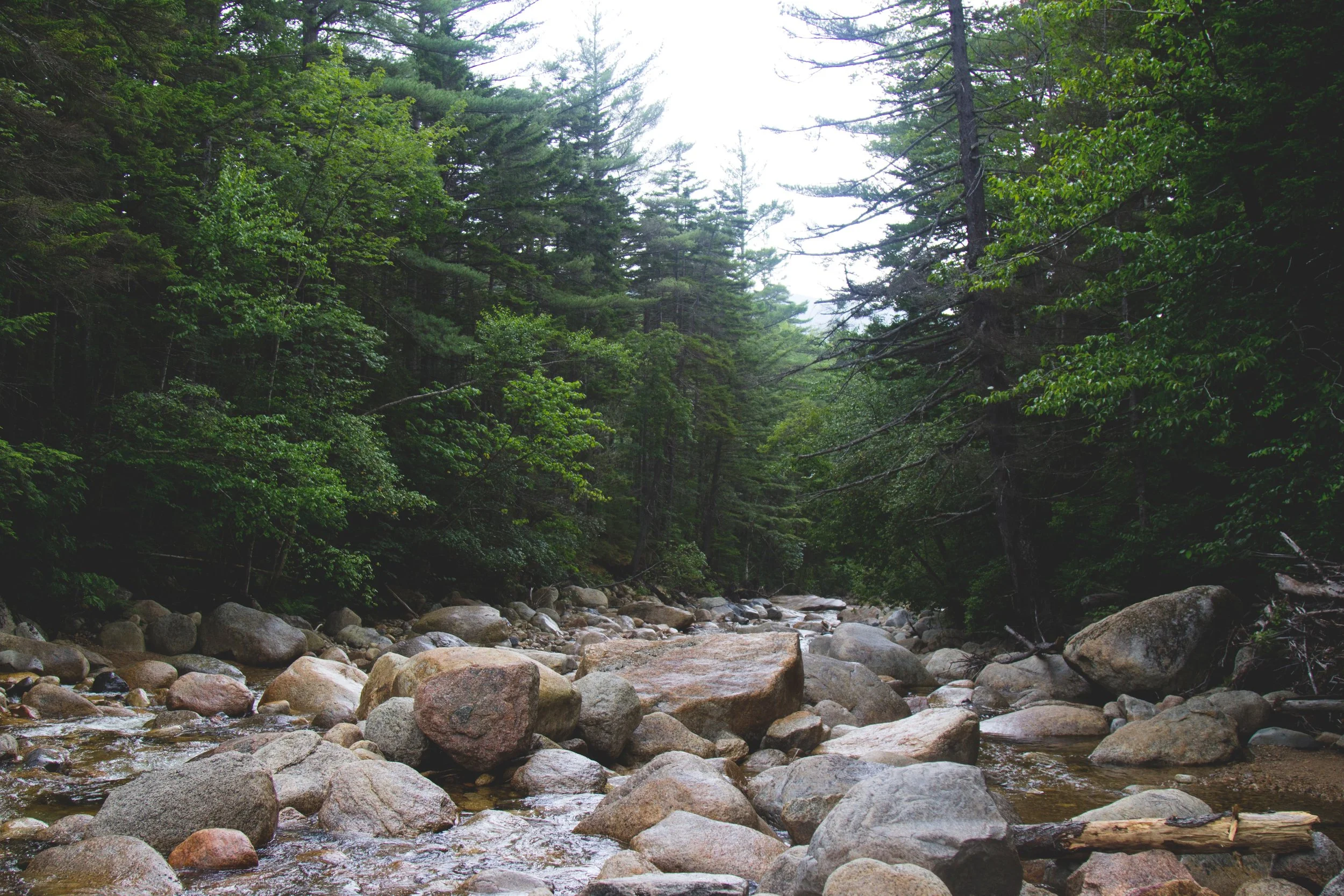 Digging into Native History in New Hampshire