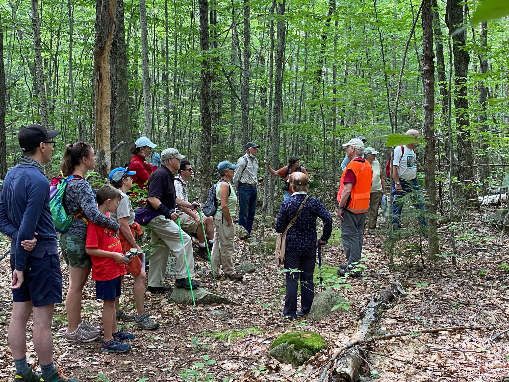 Geology Walk at CLC Clark Reserve