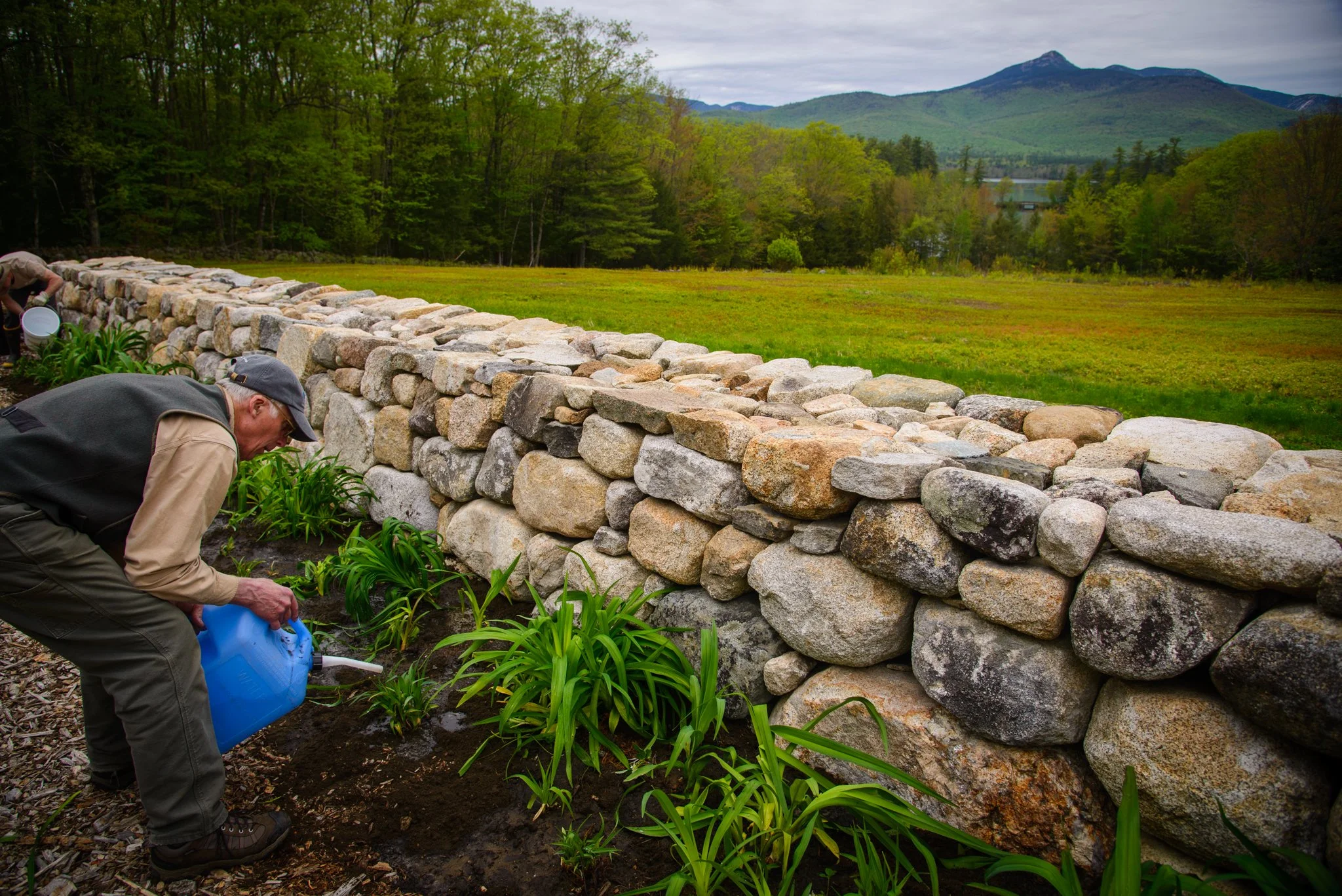 Annual Meeting &amp; Social Hour